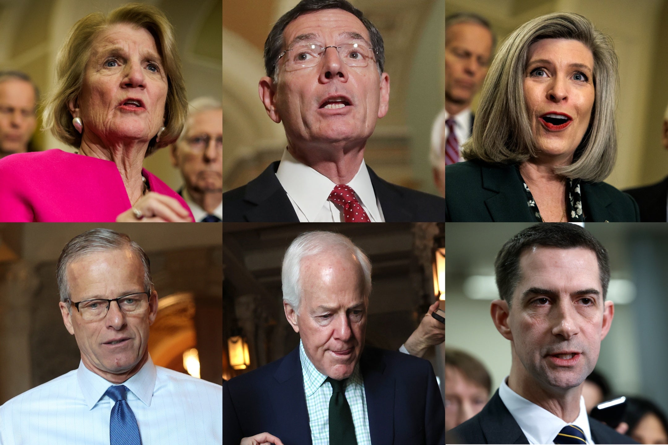 From top left: Shelley Moore Capito, John Barrasso, Joni Ernst, John Thune, John Cornyn, and Tom Cotton