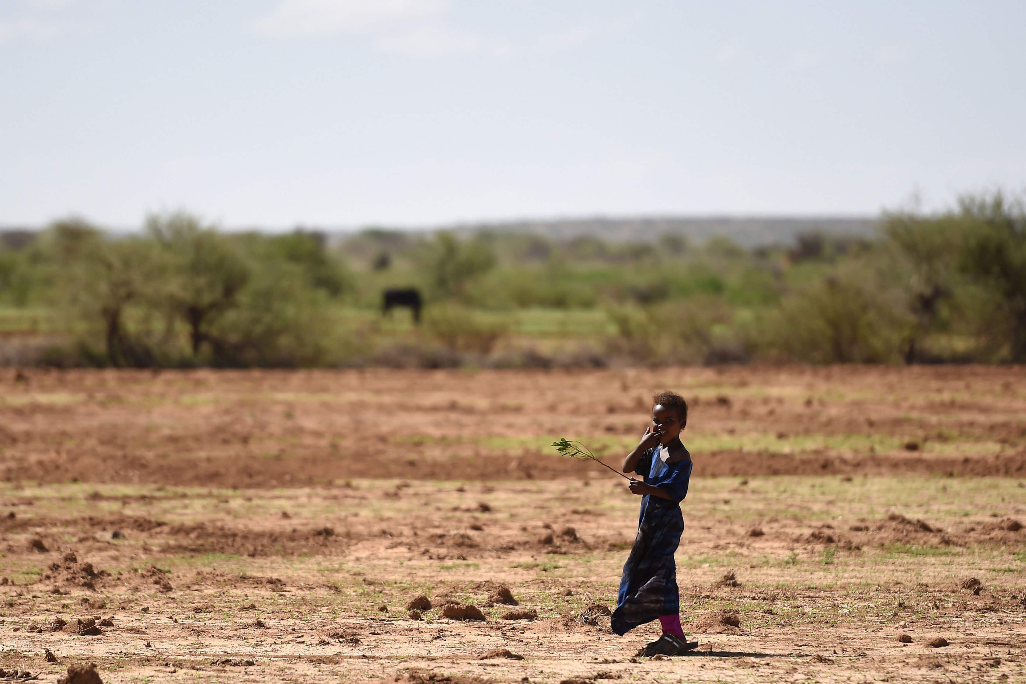 A watchdog has warned that £11.6bn climate aid commitment will be hard to meet (Joe Giddens/PA)