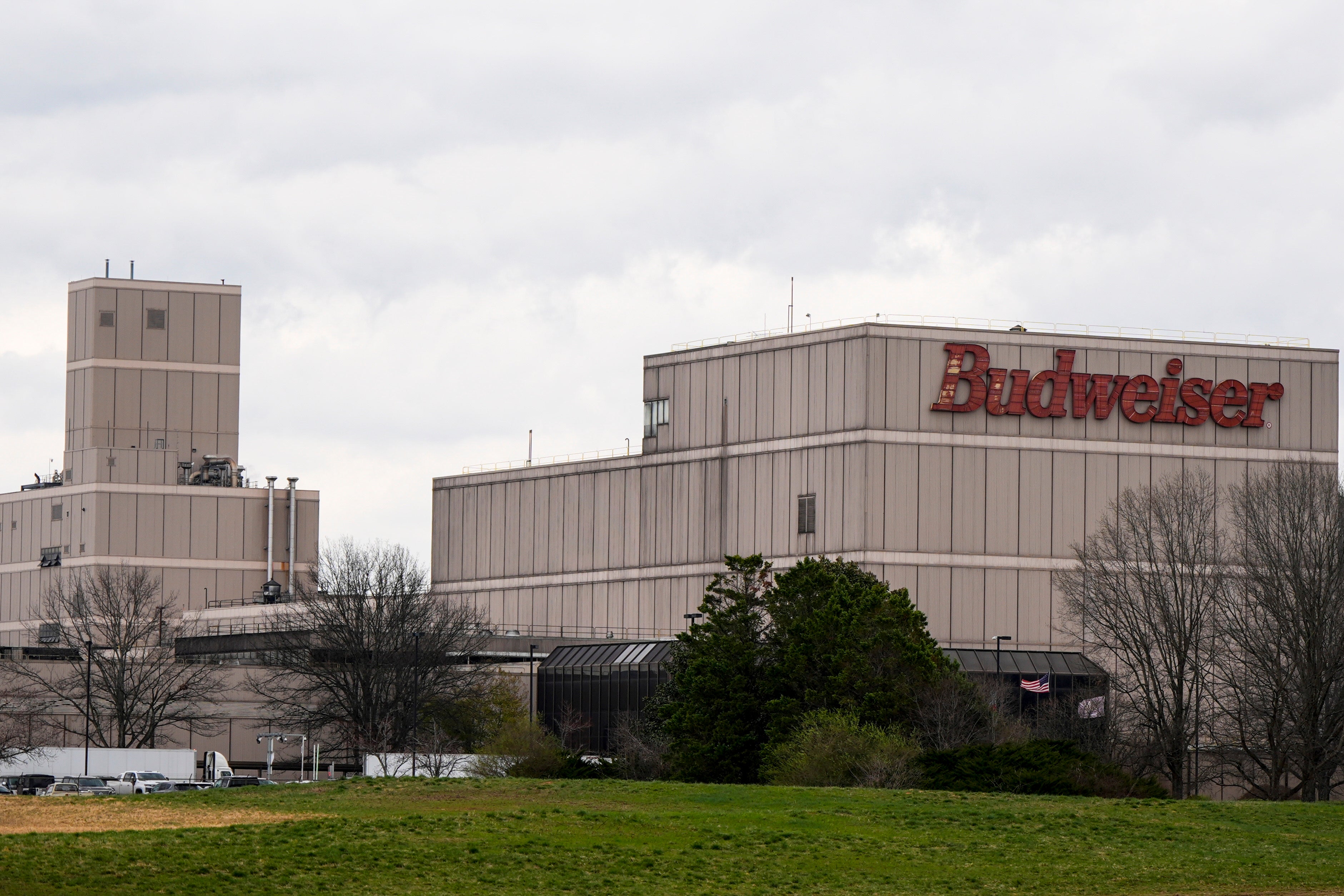 Anheuser Busch Strike