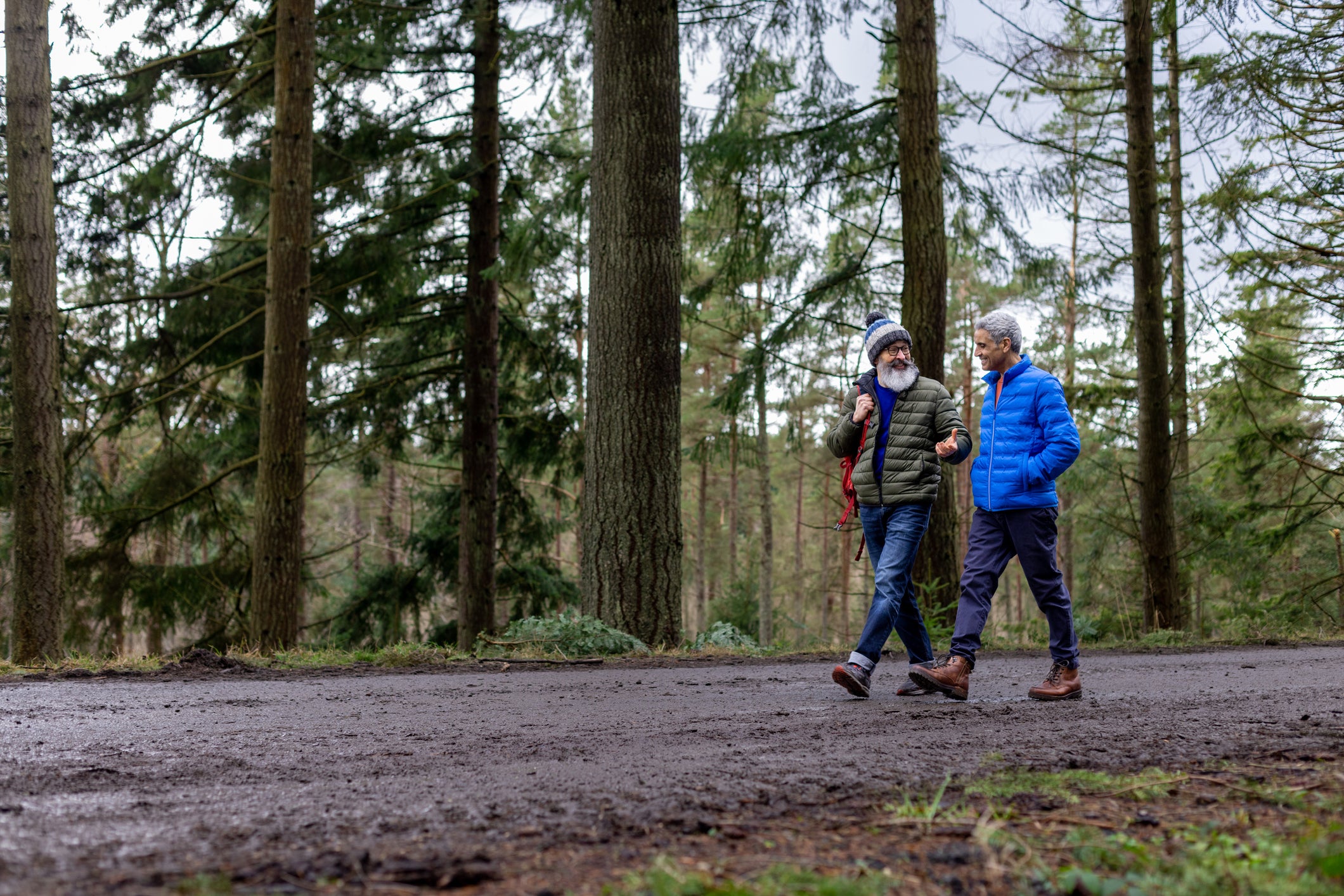 Two men on a walk through a woodland area in Northumberland, North East England