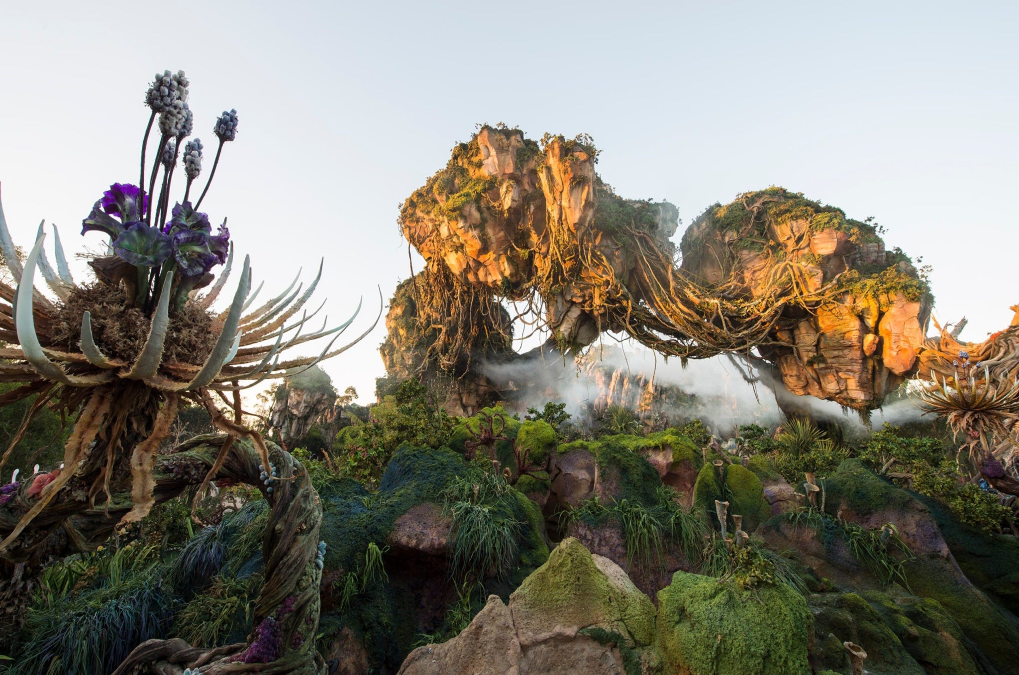 Disney’s Animal Kingdom is spread over 580 acres