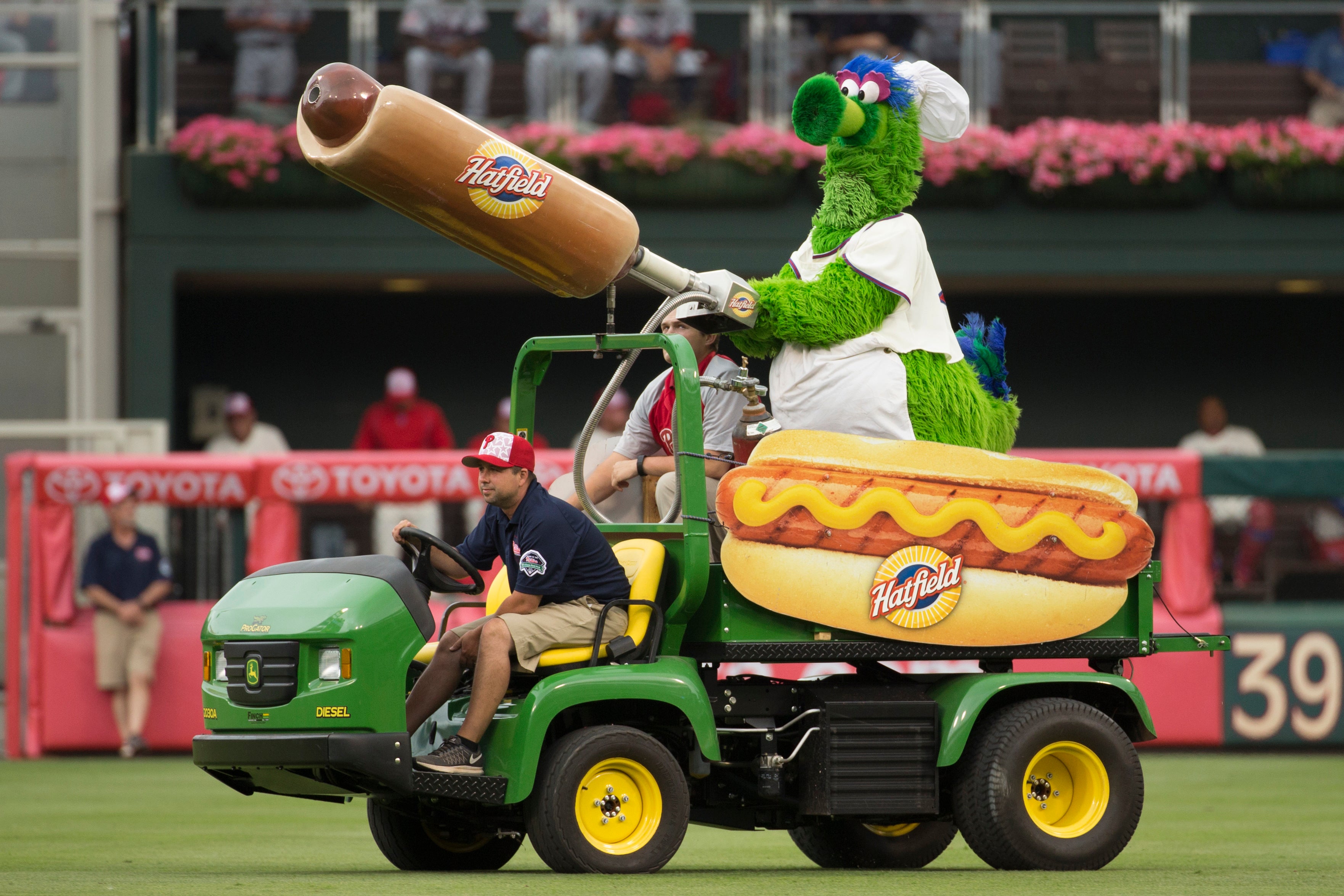 Phillies Dollar Dogs Baseball