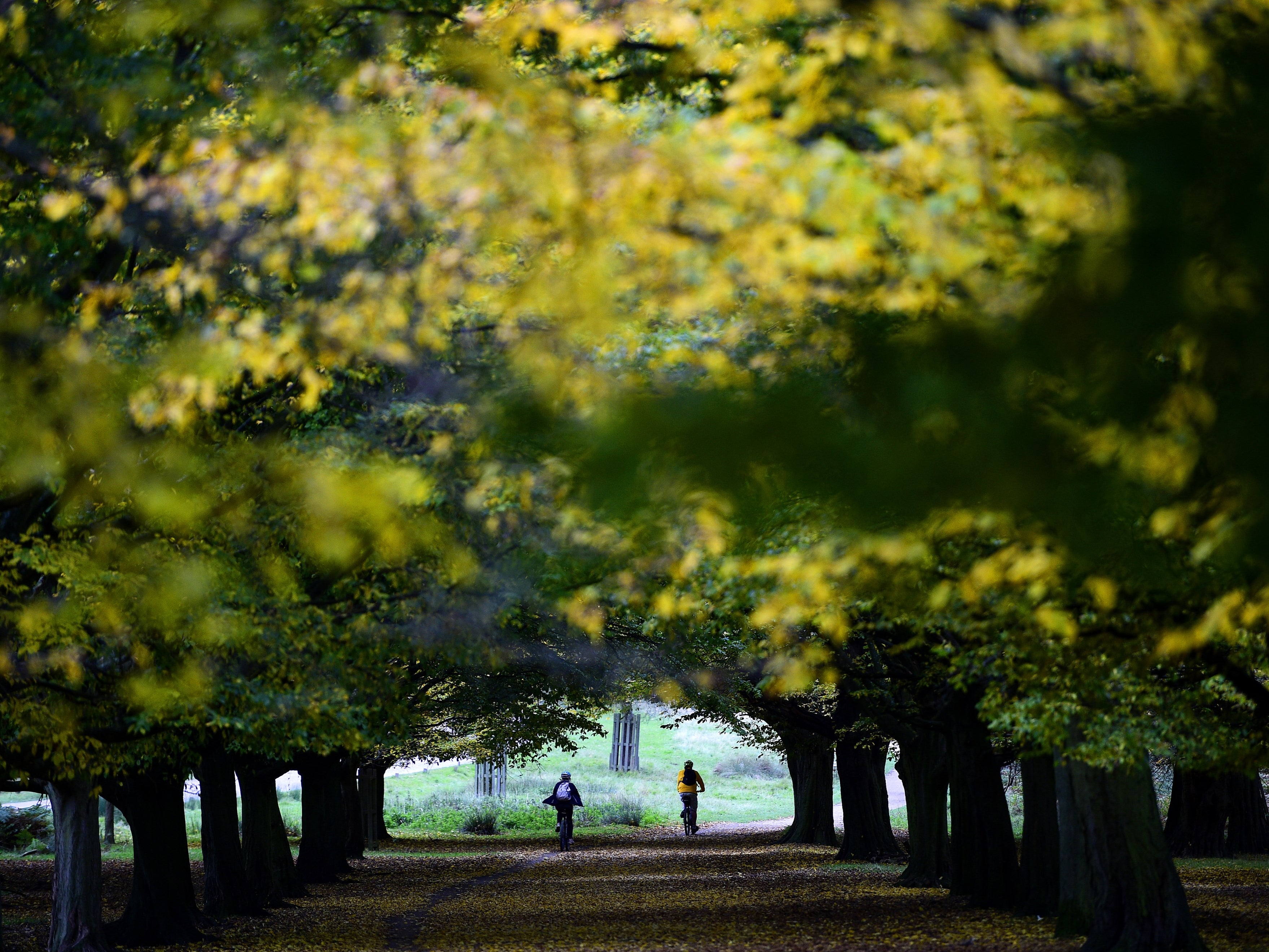 Go green: getting outside within the first hour of waking helps to regulate the circadian rhythm