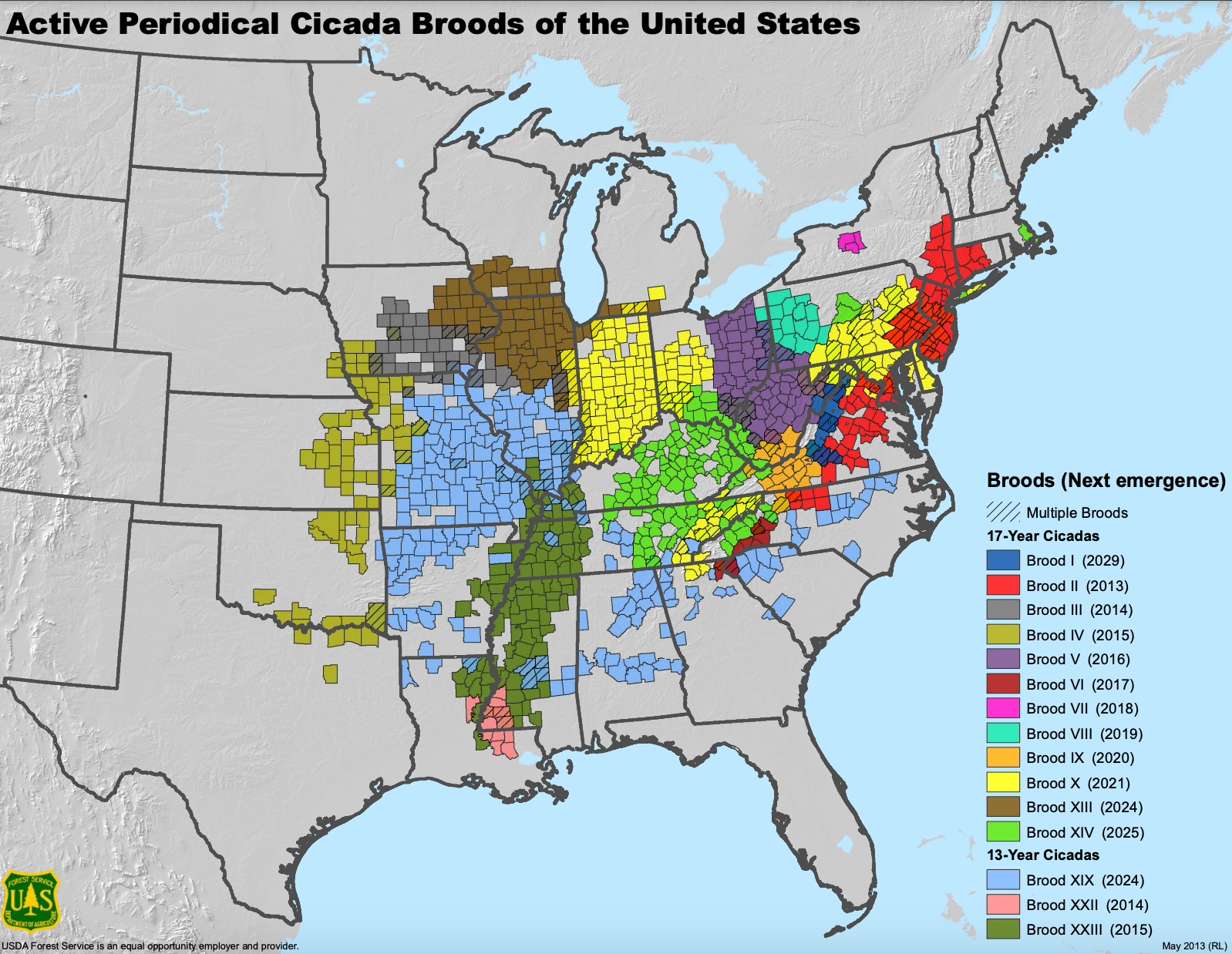 This map illustrates where cicada Brood XIX (light blue) and Brood XIII (brown) will emerge in the coming weeks