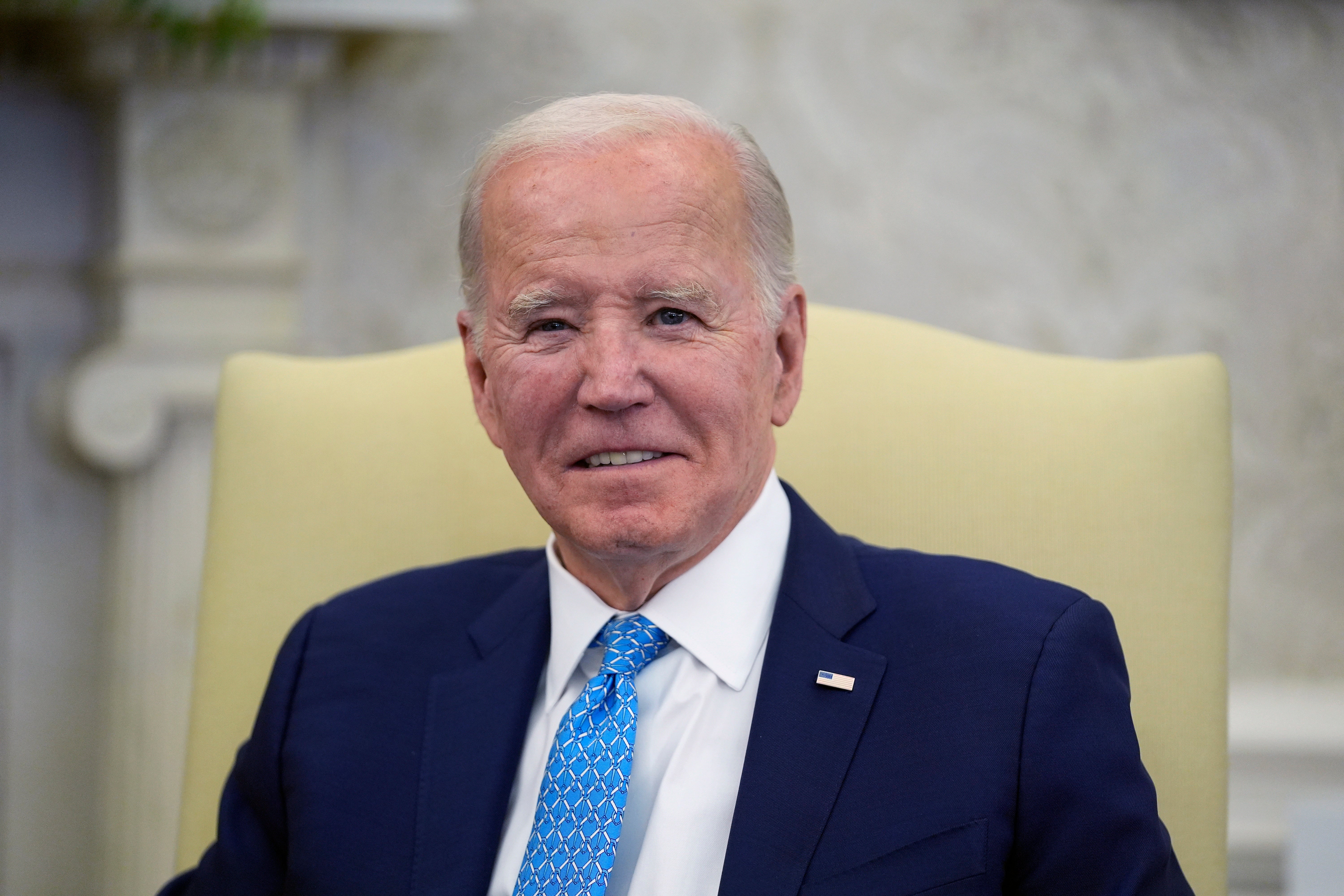 Mr Biden said he believed he was the person ‘best positioned’ to beat Mr Trump at the national polls again in 2024