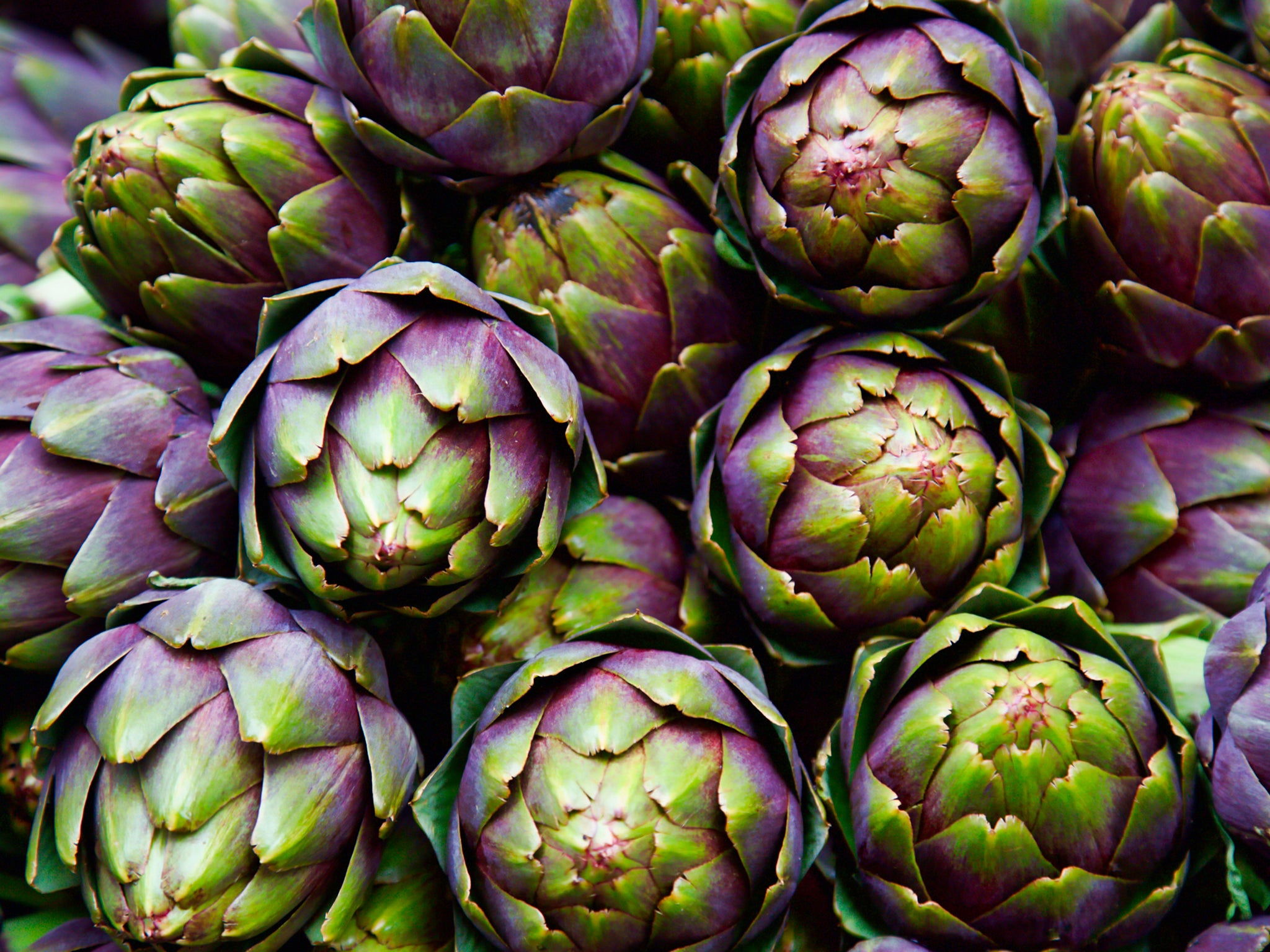 Look for firm, heavy artichokes with tightly closed leaves