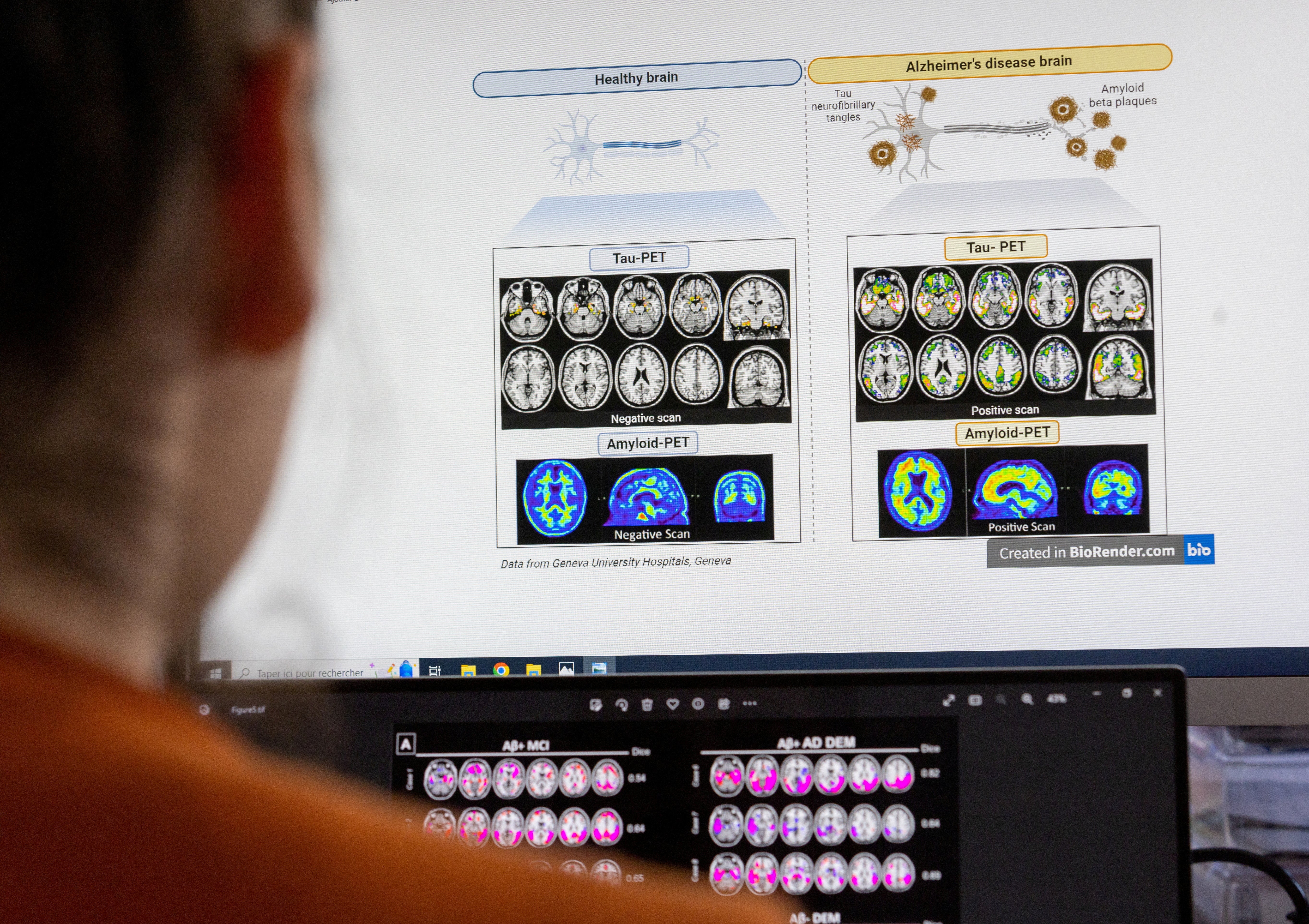 A study was completed to find out if there are brain cells that organise the knowledge of our behaviour, rather than the outside world, and how they work