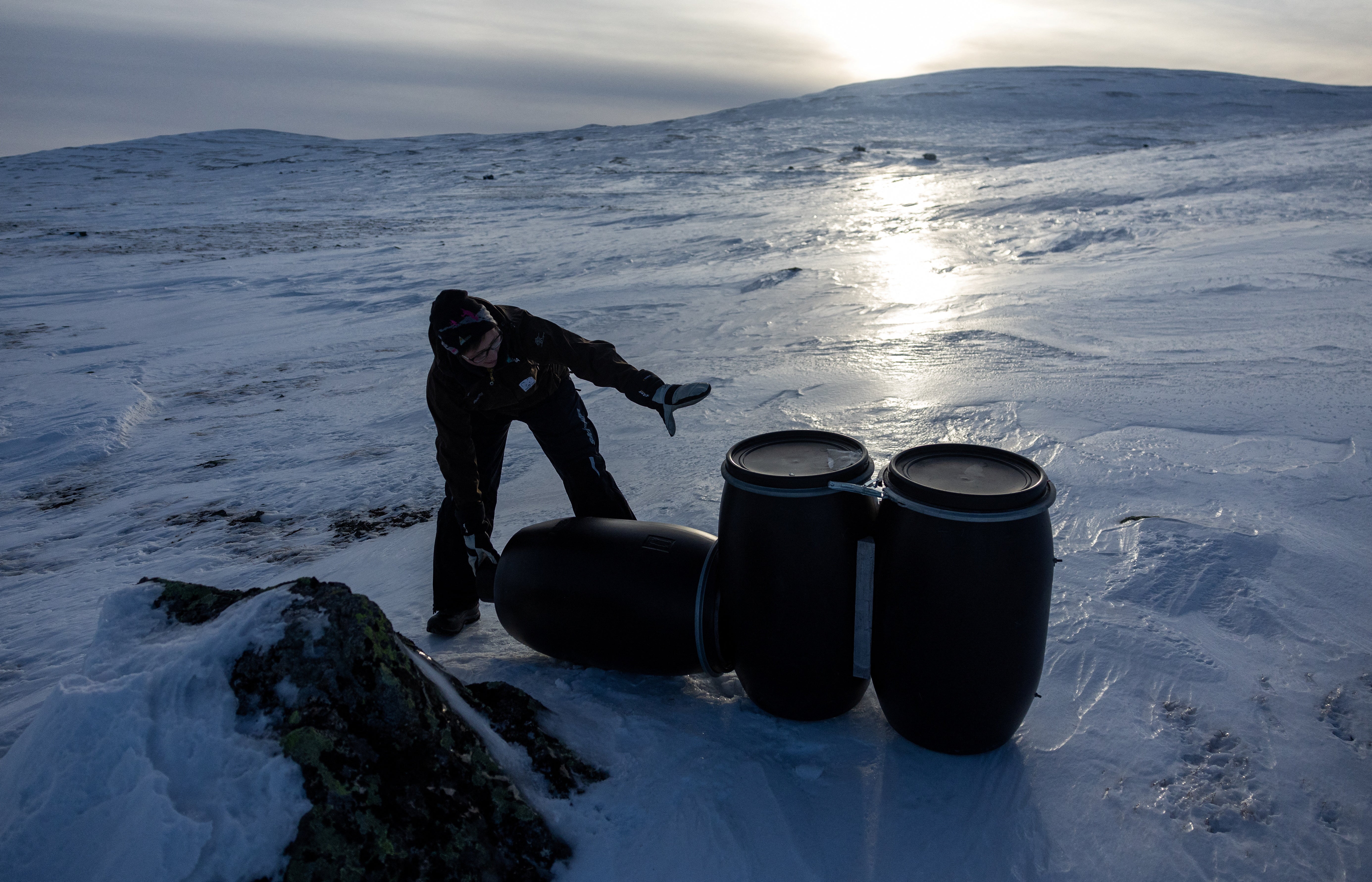 Conservation biologist Kristine Ulvund checks a supplementary feeding station for the foxes