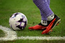 Premier League pushes for diluted independent regulator powers amid fears of long delay