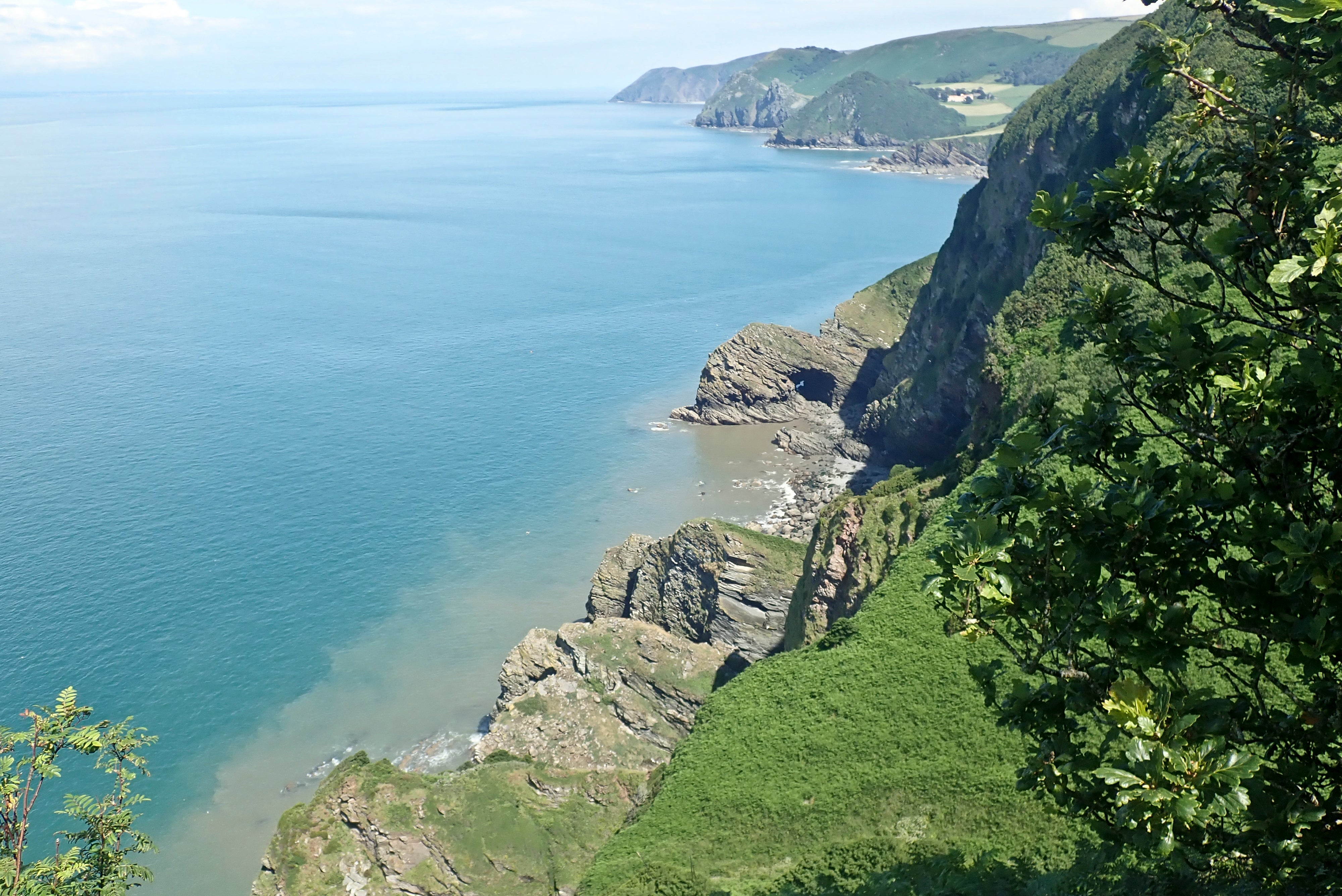 Sandstone cliffs in southwest England where scientists discovered the world’s oldest fossil forest