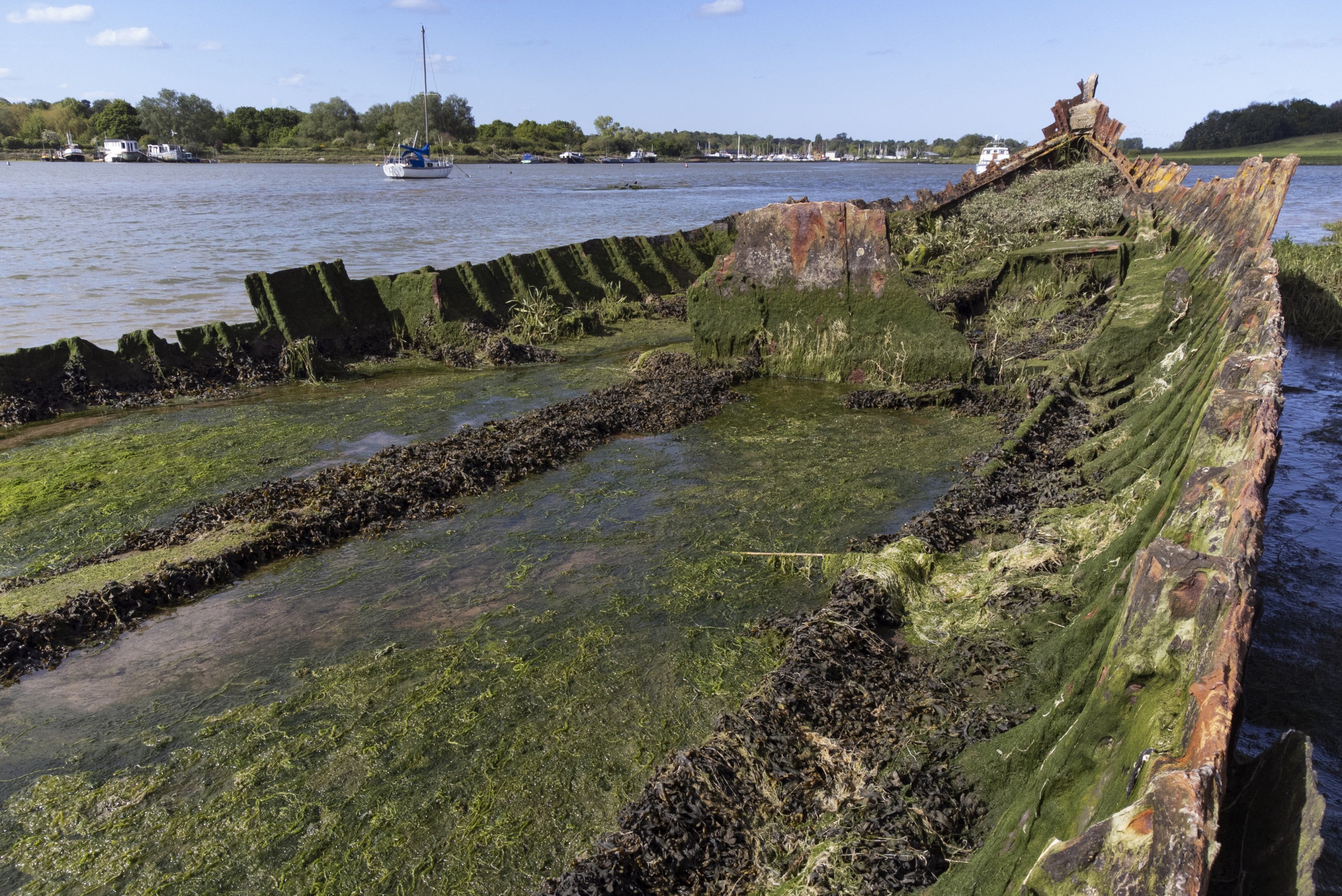 The steamship Lady Alice Kenlis on the National Trust’s Sutton Hoo estate