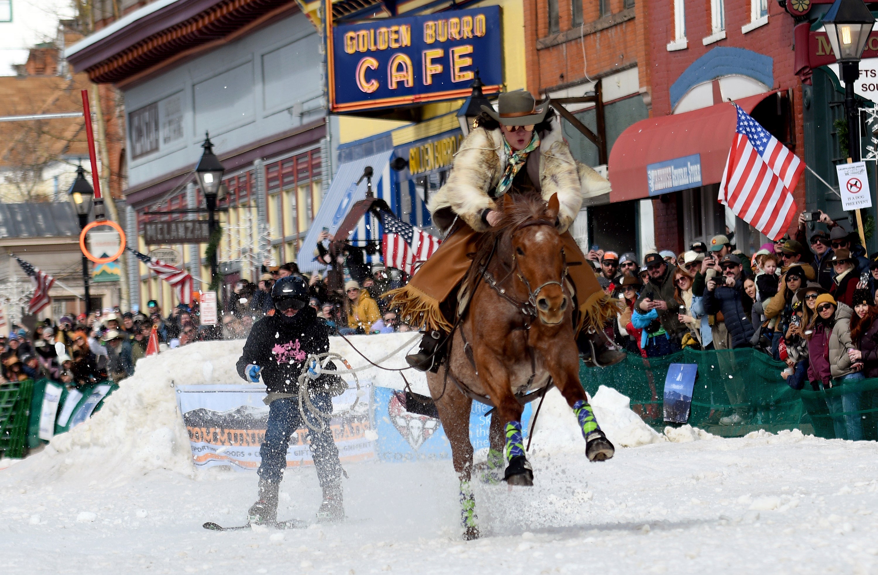 Skijoring