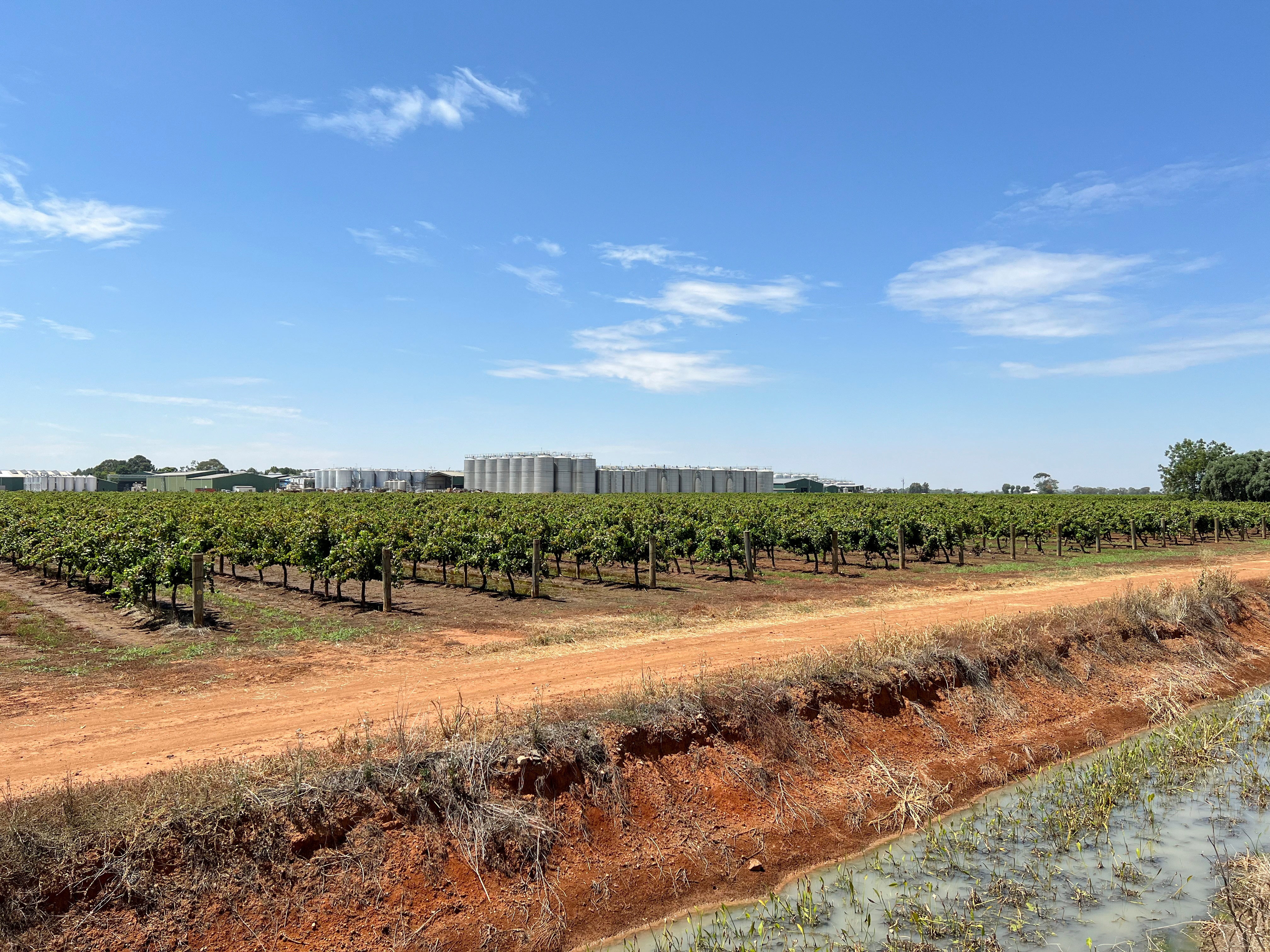 Wine storage tanks stand behind rows of grape vines near the town of Griffith in southeast Australia, February 27