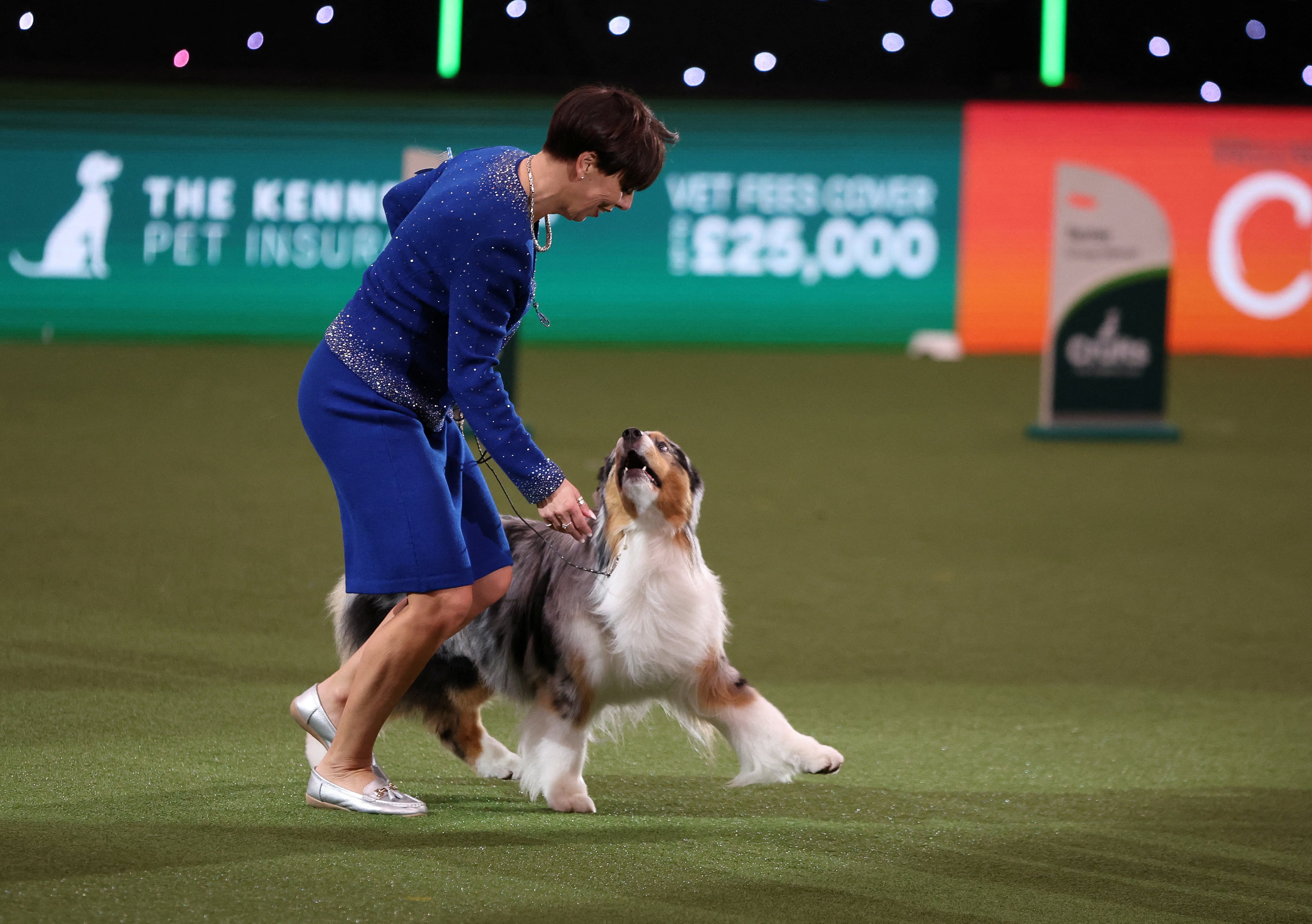 Handler Melanie Raymond and Australian Shepherd named Viking celebrate after winning the best in show