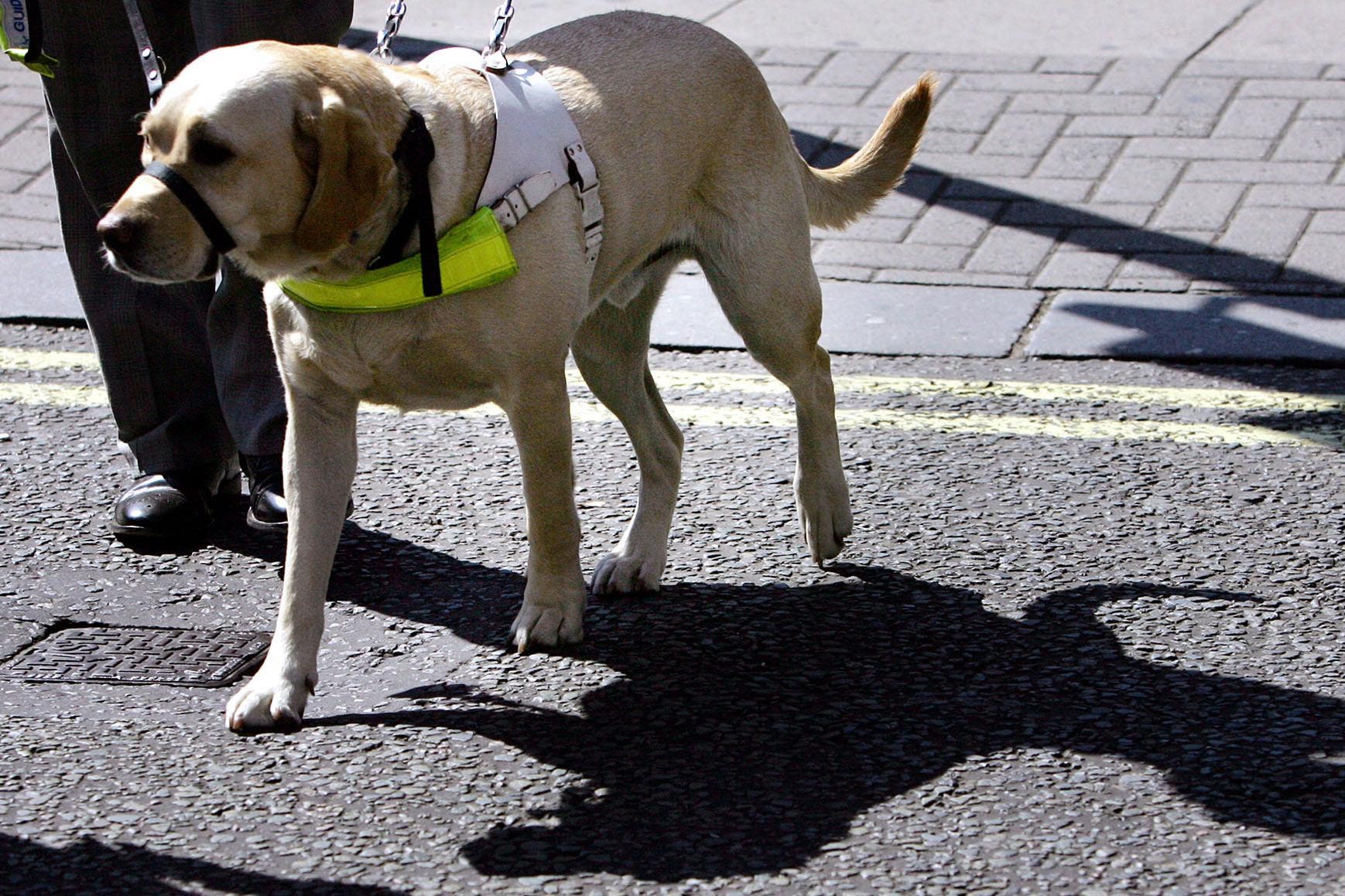 Many blind and partially sighted people being denied support, charity says (Jane Mingay/PA)