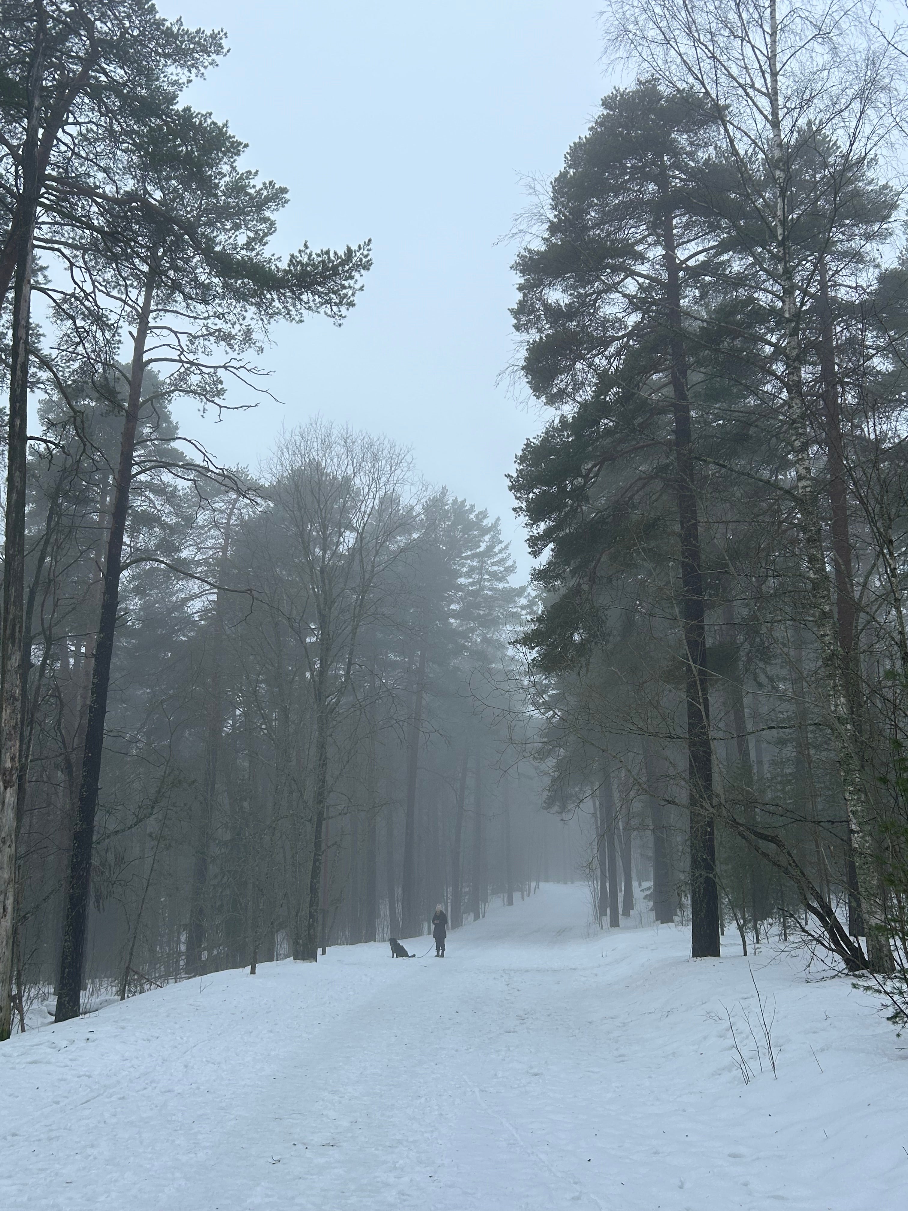 Pyynikki forest offers a flavour of Moomin life