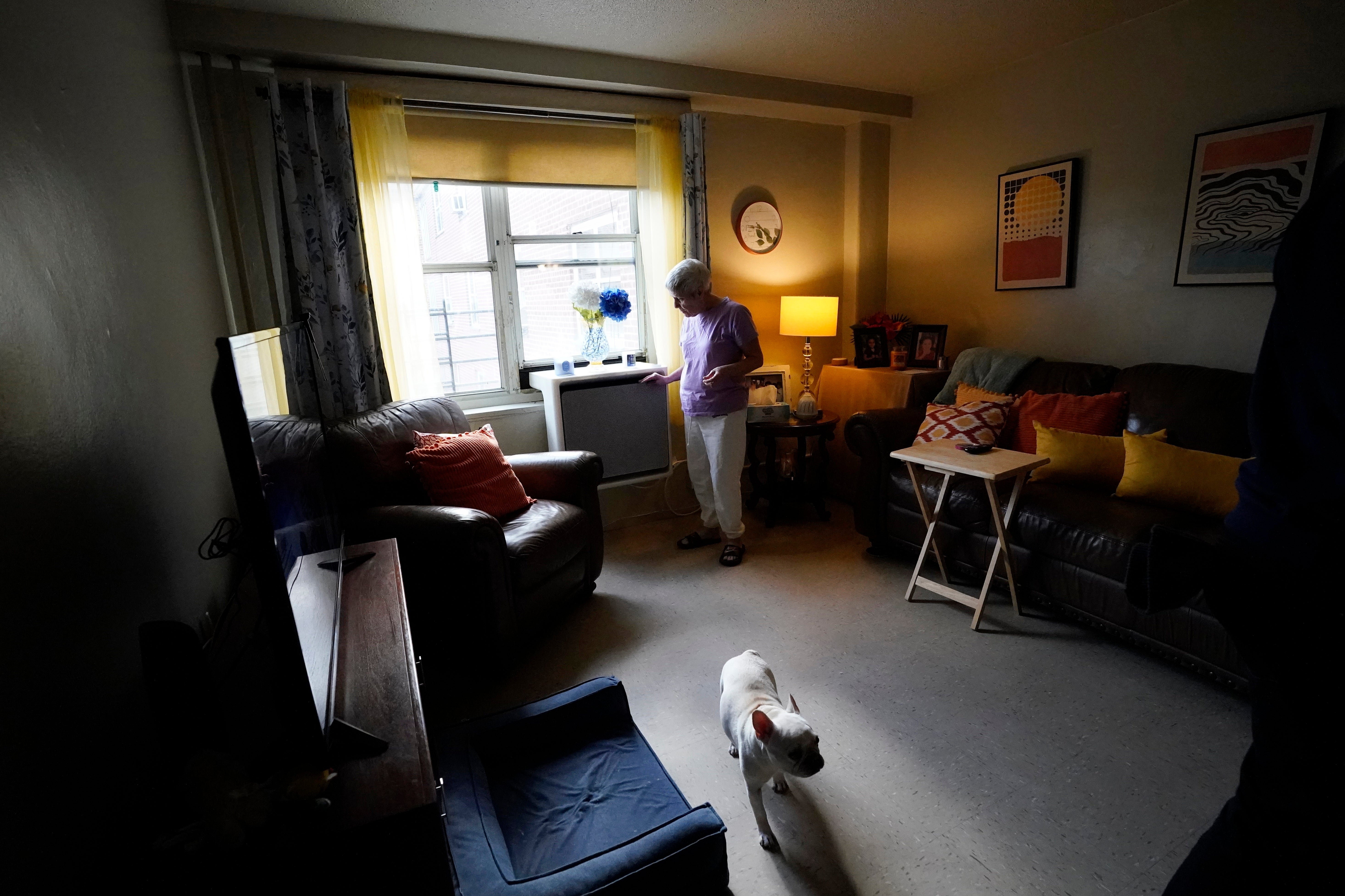 Climate Apartment Heat Pumps