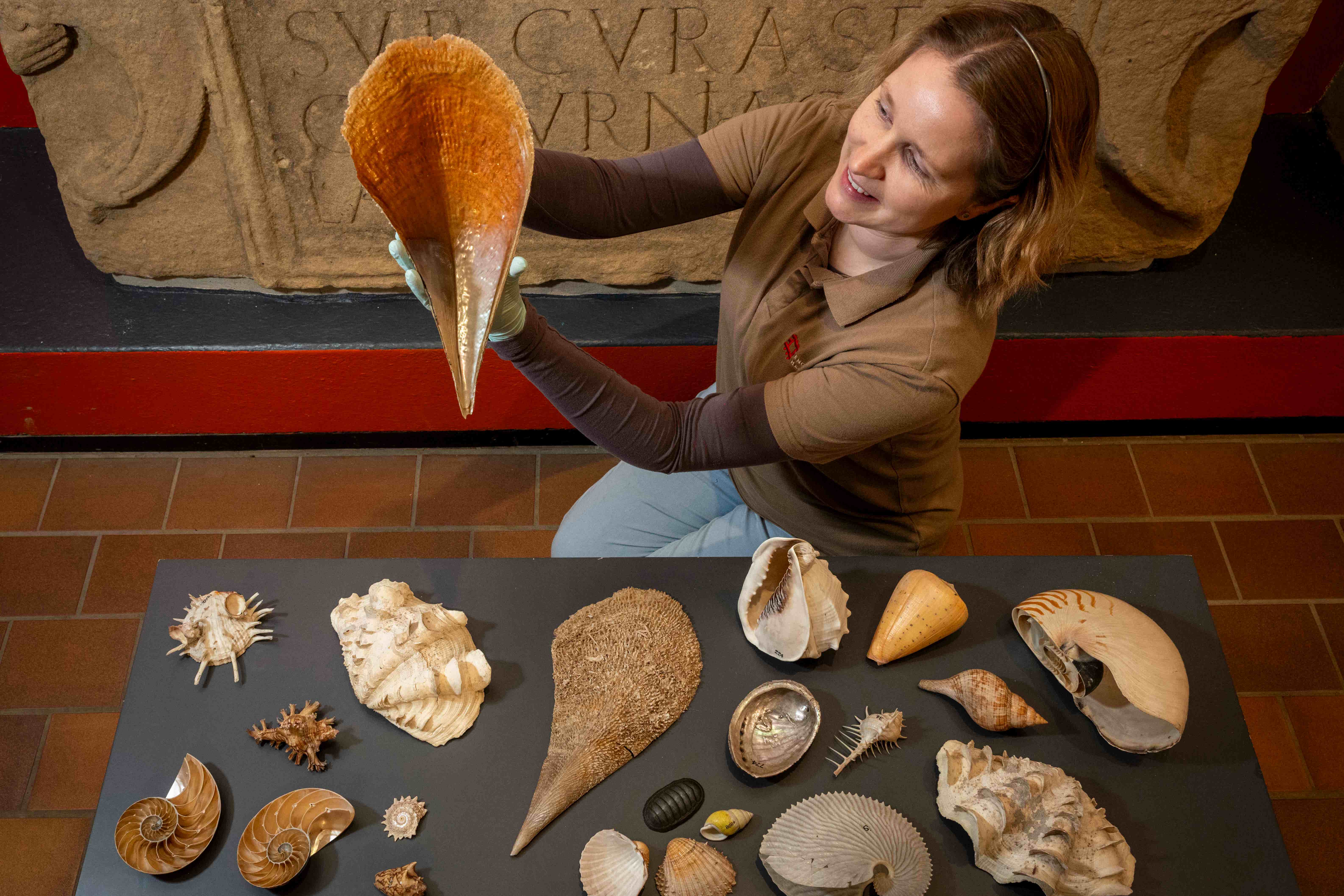 Shells from Captain Cook’s third voyage, which were feared lost for 40 years, are going back on public display after being rescued from a skip (Phil Wilkinson/English Heritage/PA)