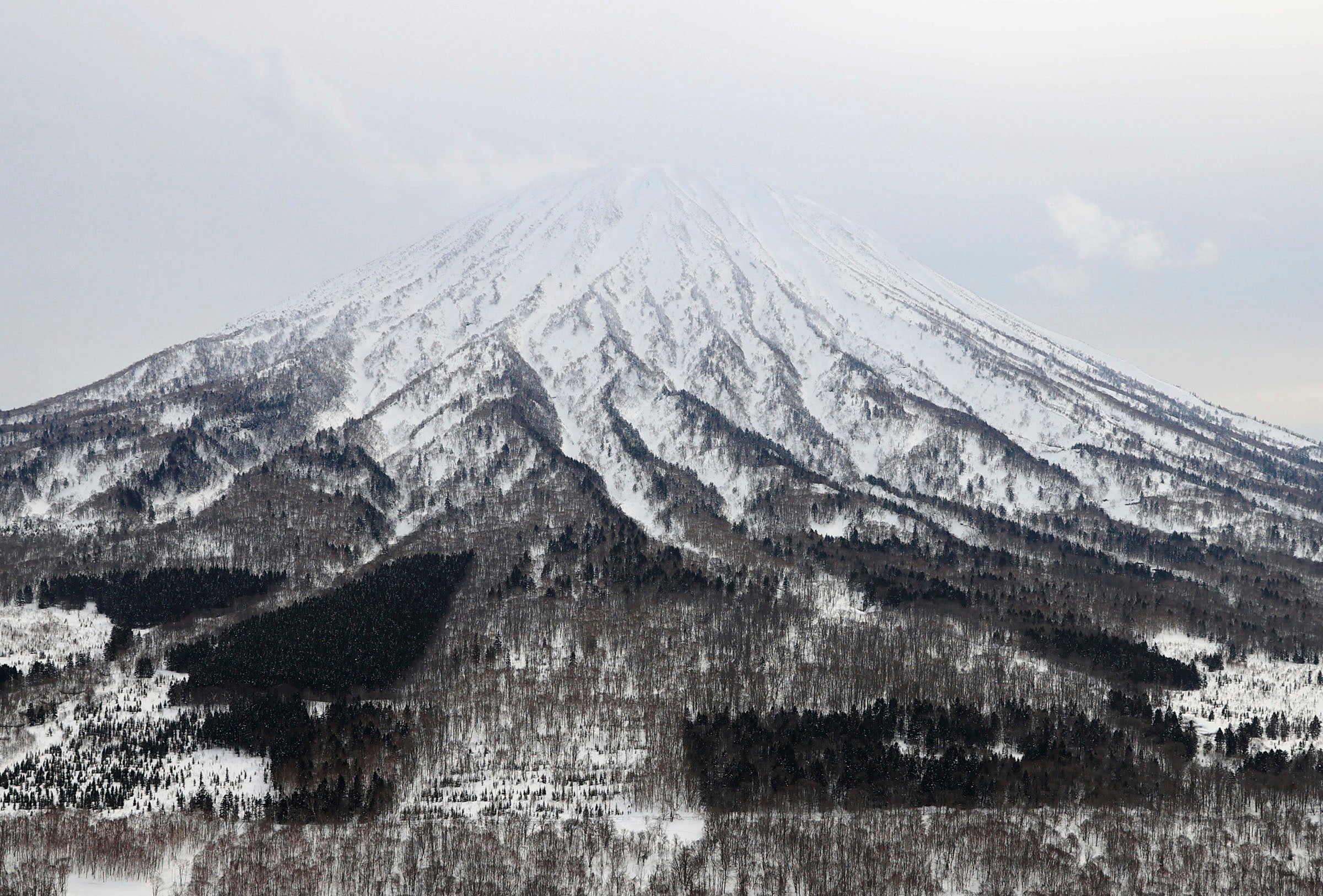 Japan Avalanche