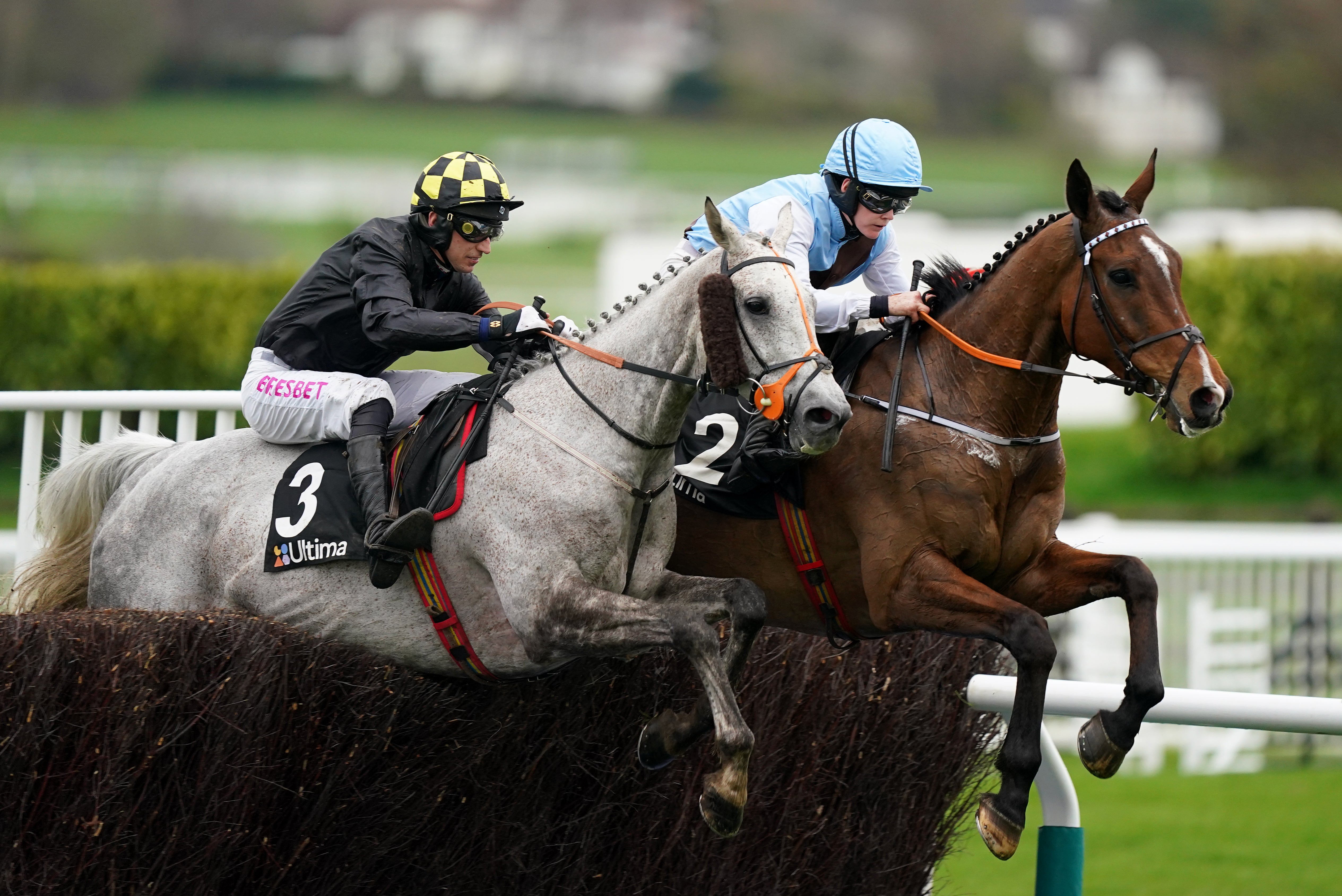 Highland Hunter (left) took part in the Ultima Handicap Chase and was later put down