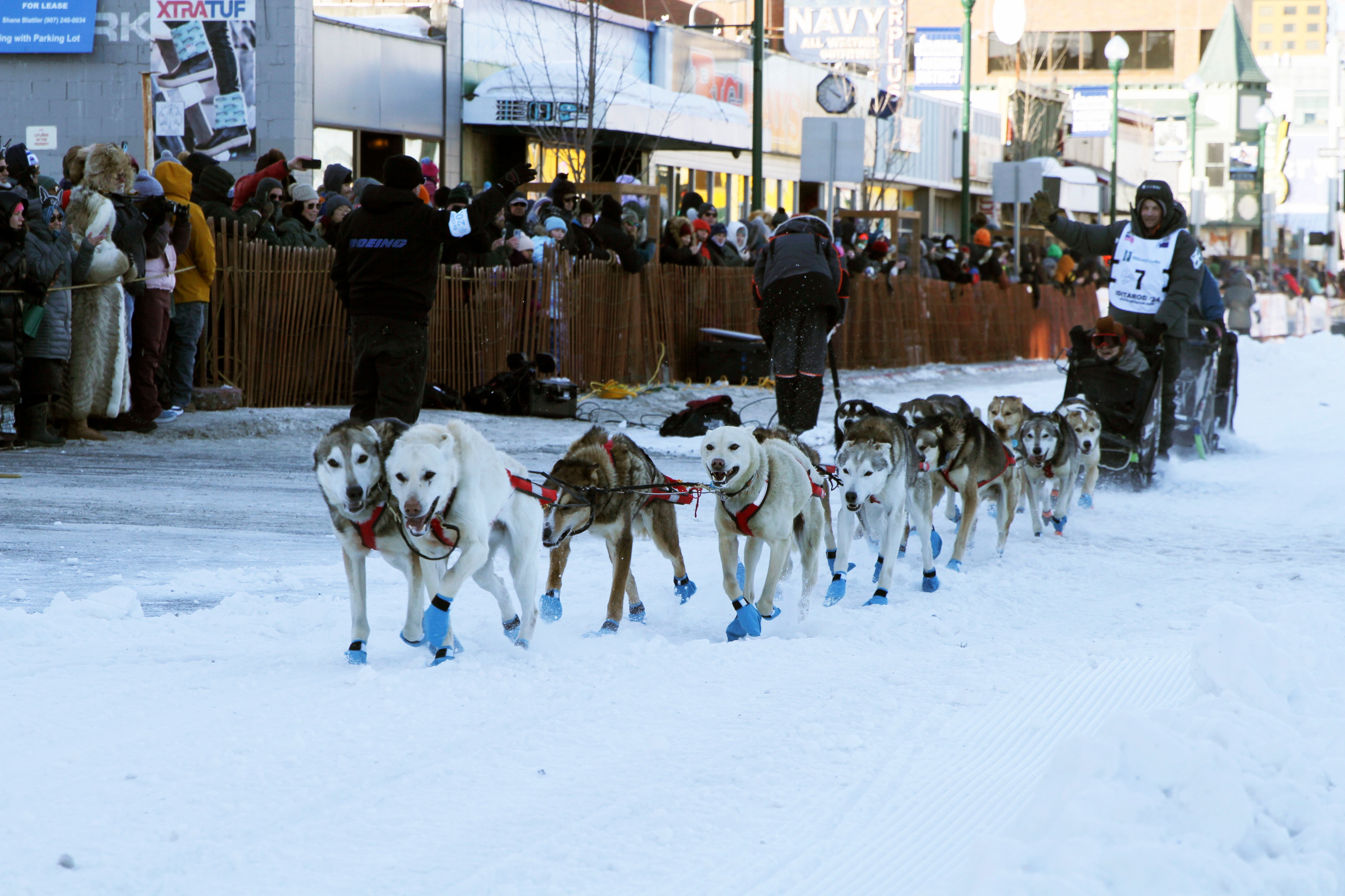 The world's most famous sled dog race will have its longest course ever this year