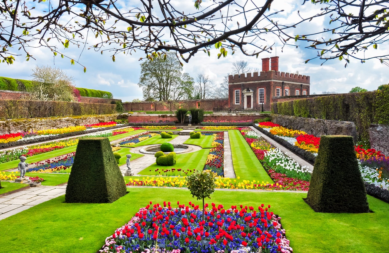 Lindt Gold Bunny’s are hopping around Henry VIII’s garden this Easter