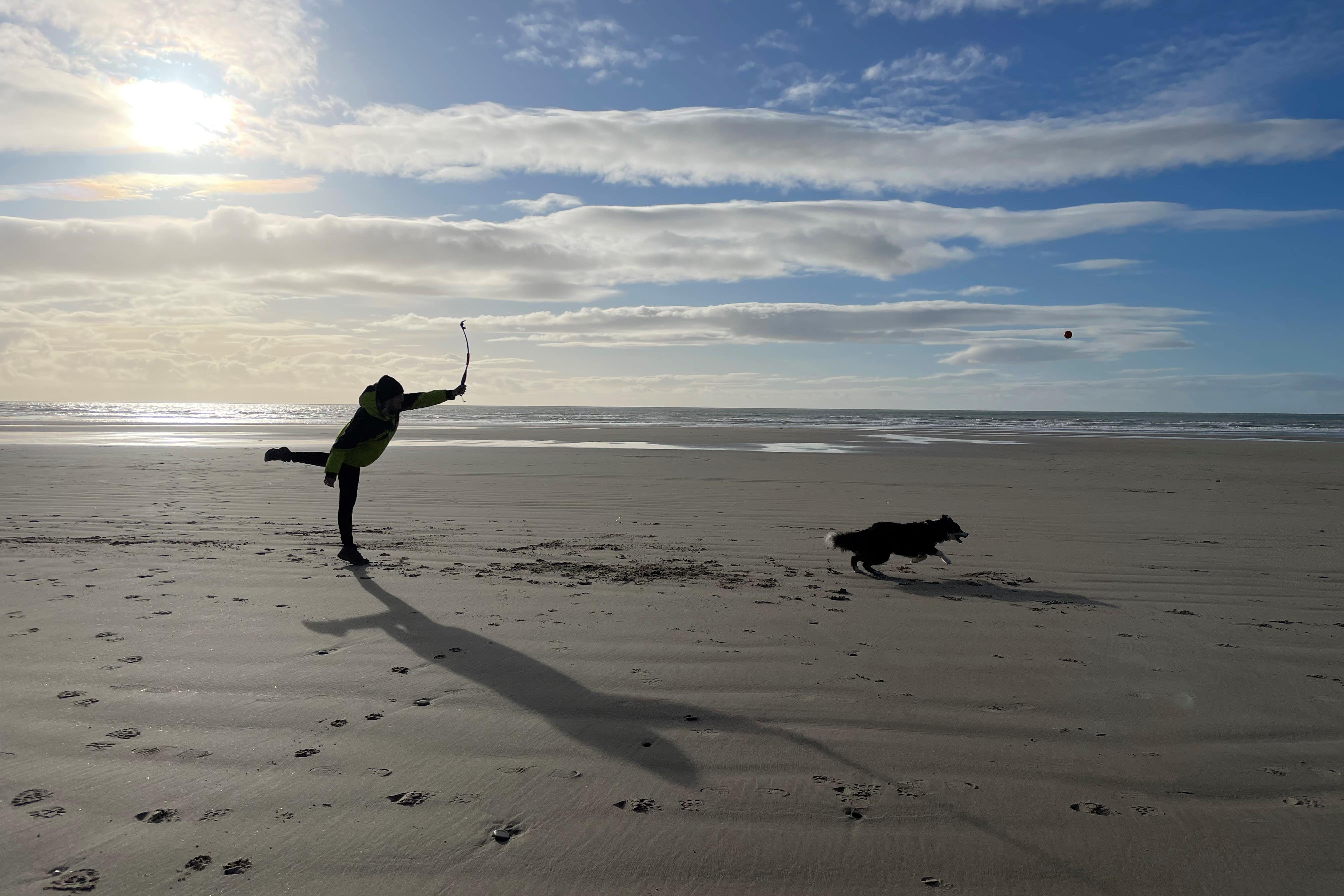 Interactions with dogs can increase brainwaves associated with stress relief, scientists say (Nick Potts/PA)