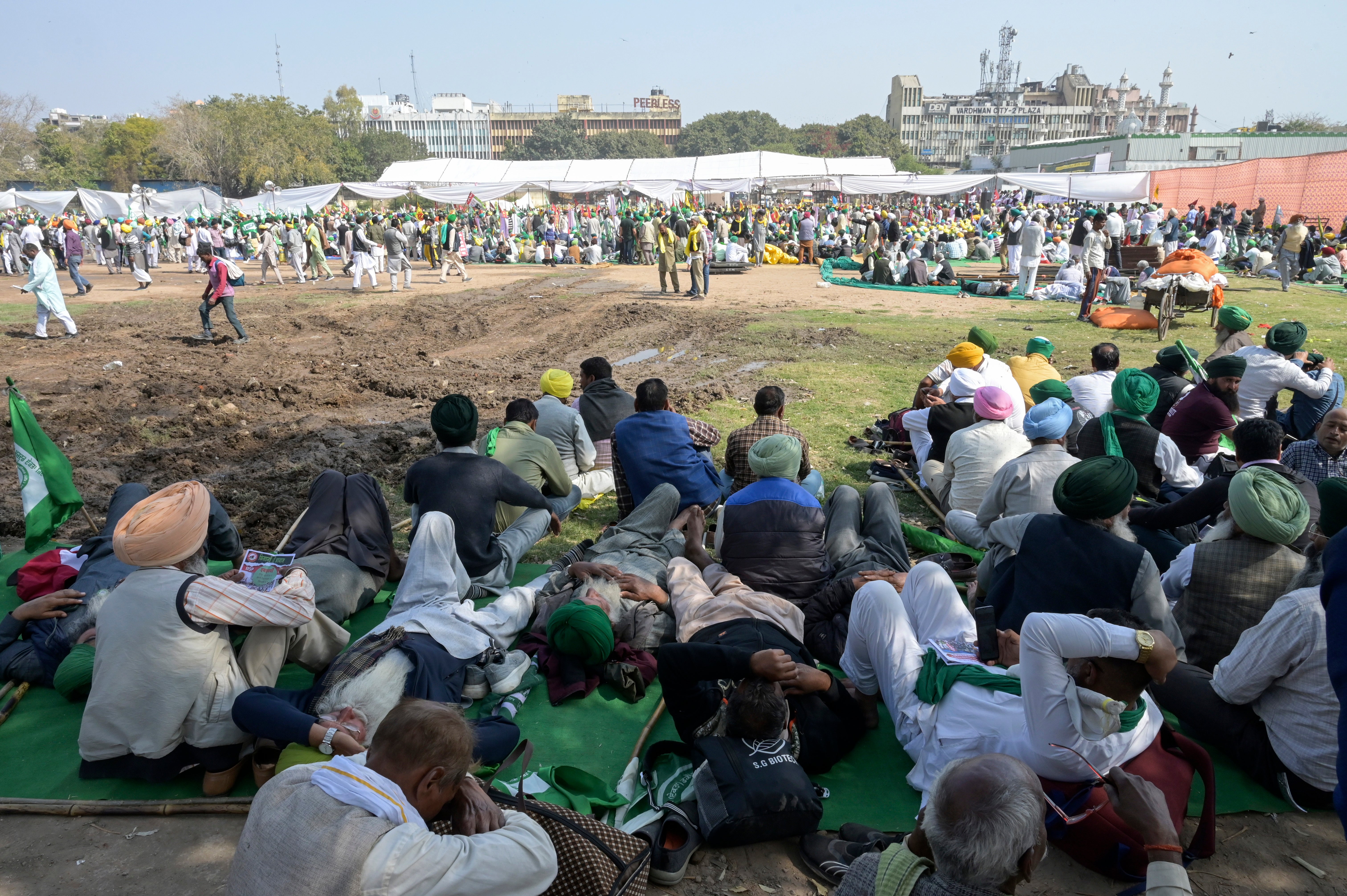India Farmer Protests