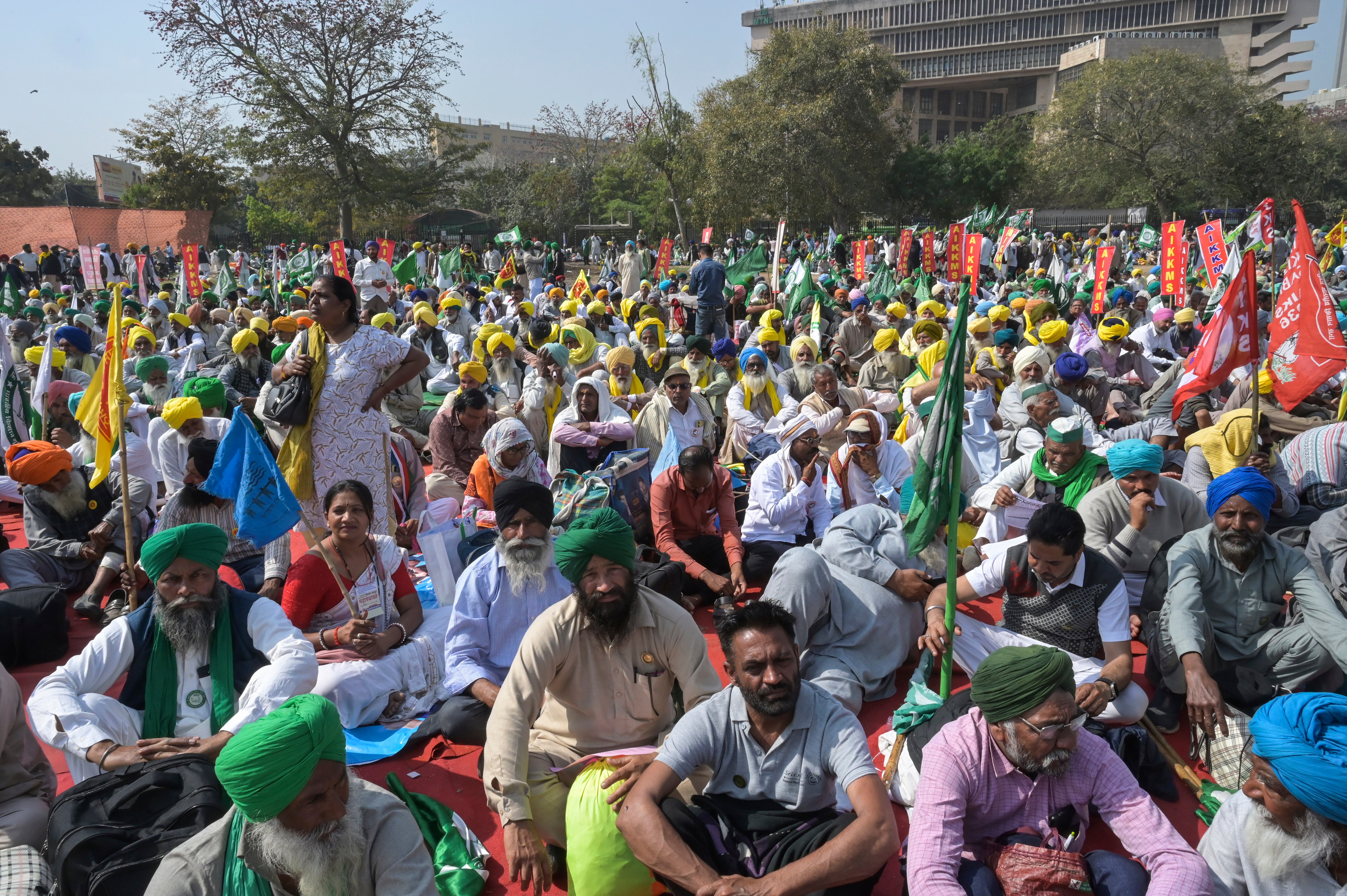 India Farmer Protests