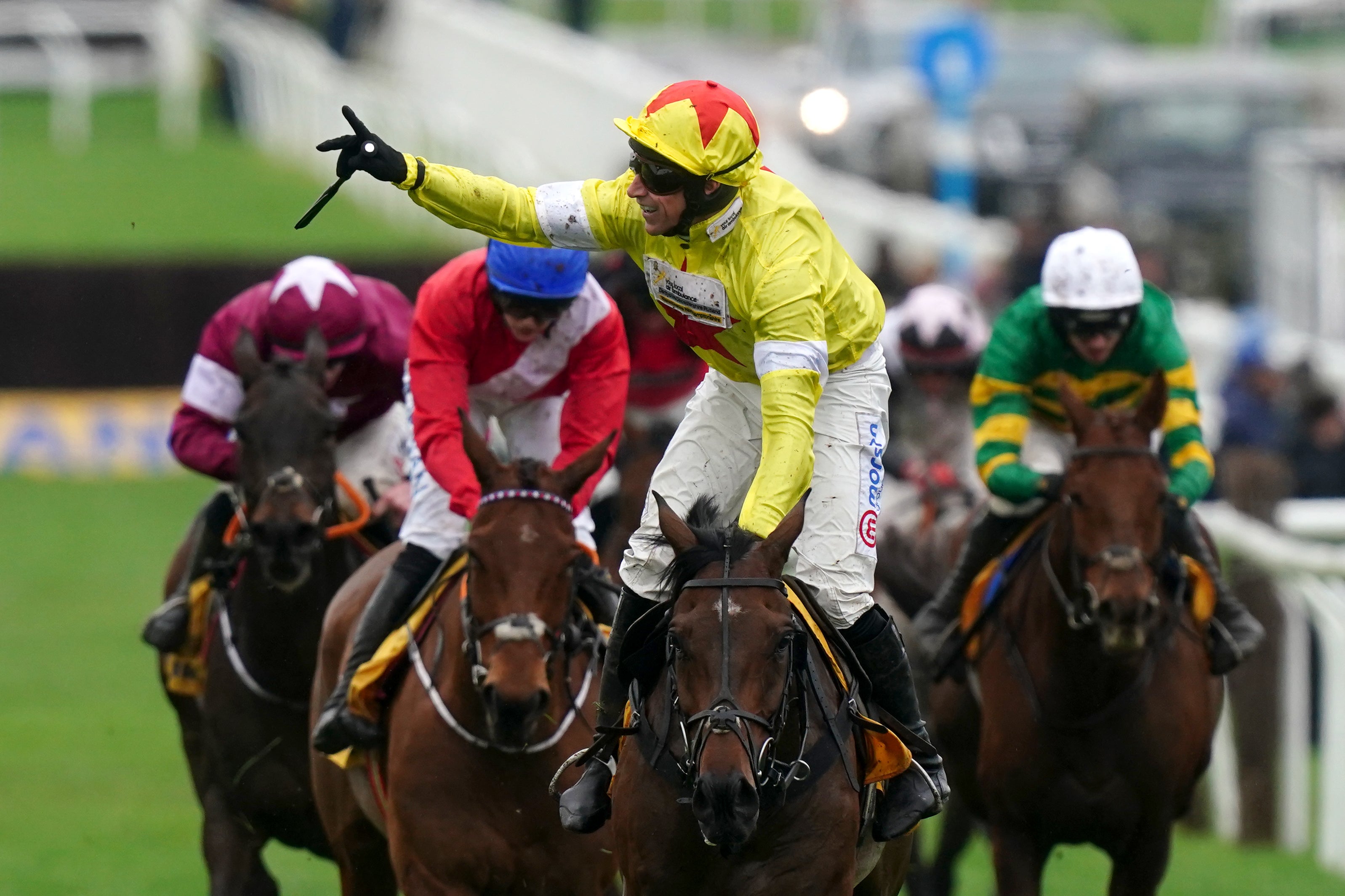 Protektorat, ridden by Harry Skelton, triumphed in the Ryanair Steeple Chase