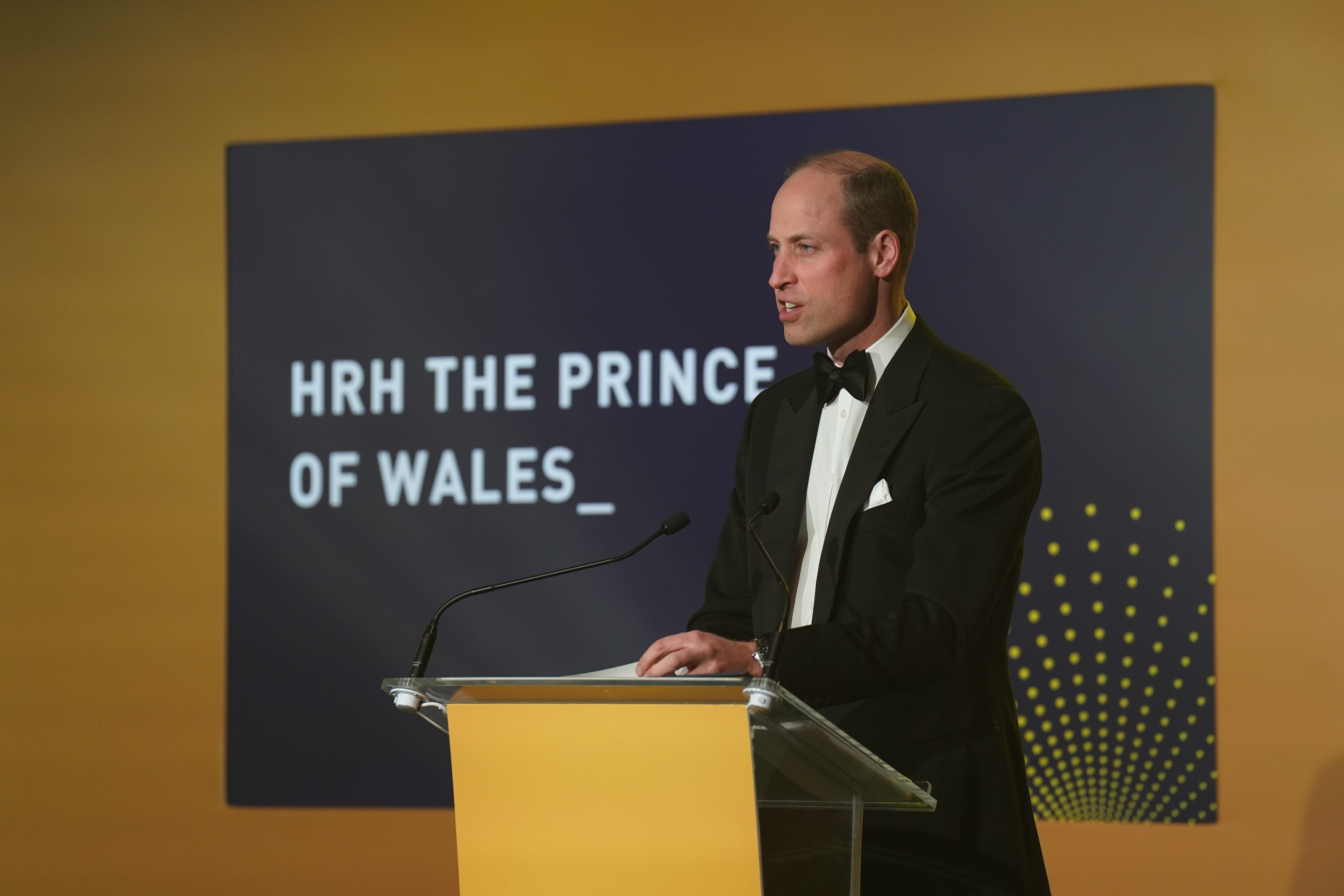 The Prince of Wales making a speech during the Diana Legacy Awards, at the Science Museum in London (Arthur Edwards/The Sun/PA)