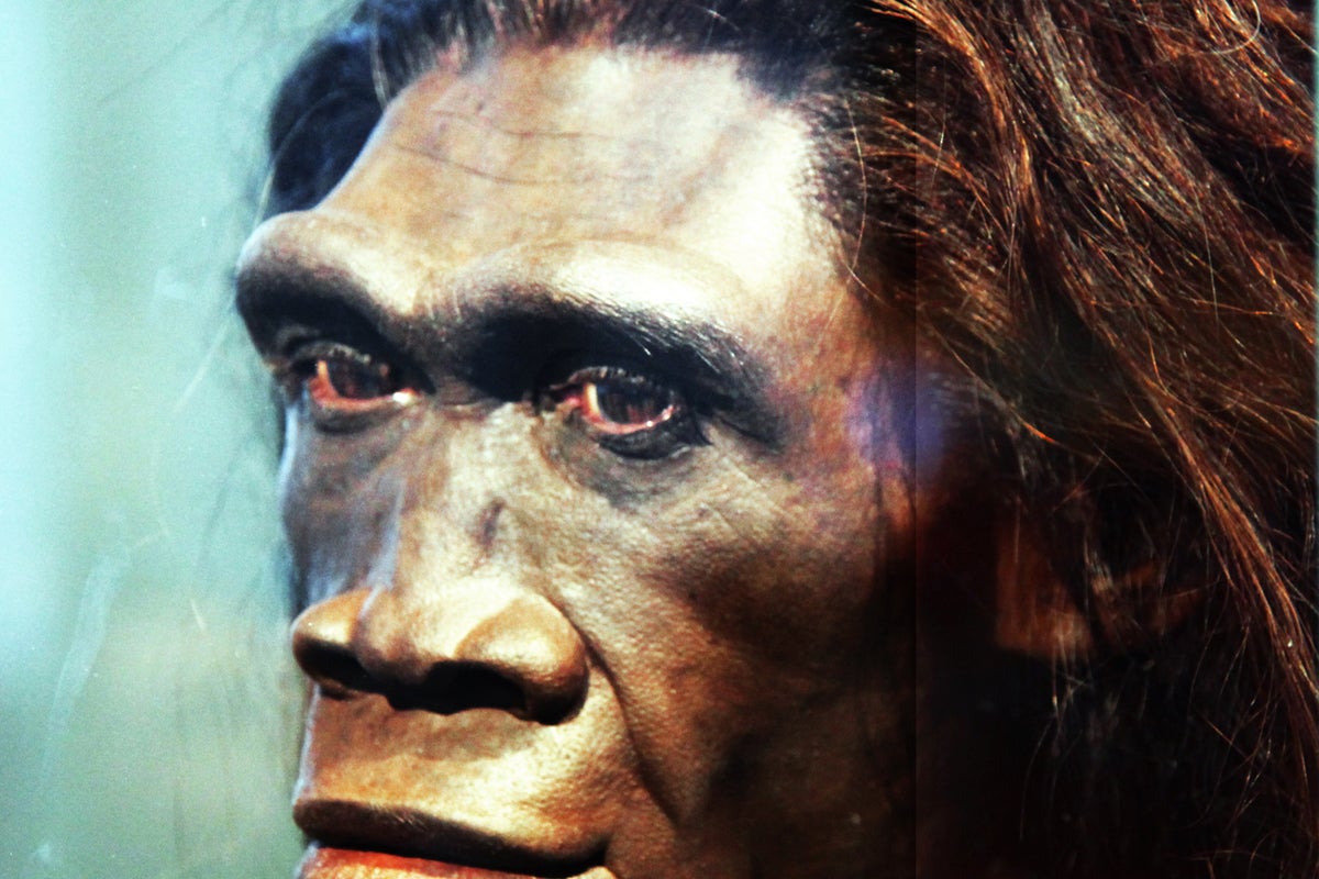 Ancient 400,000-year-old teeth reveal early humans mated with ancestor Homo erectus