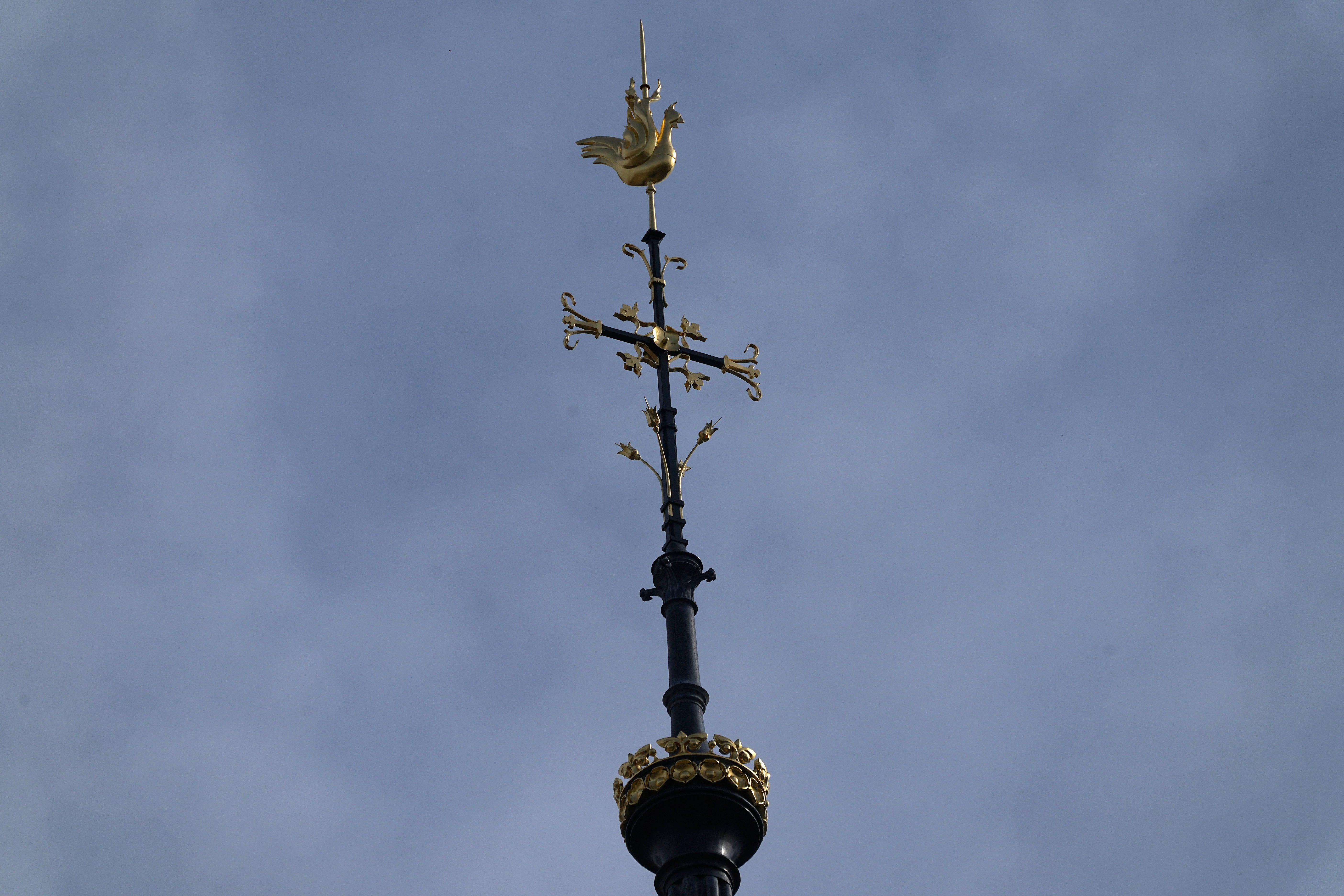 France Notre Dame Timeline