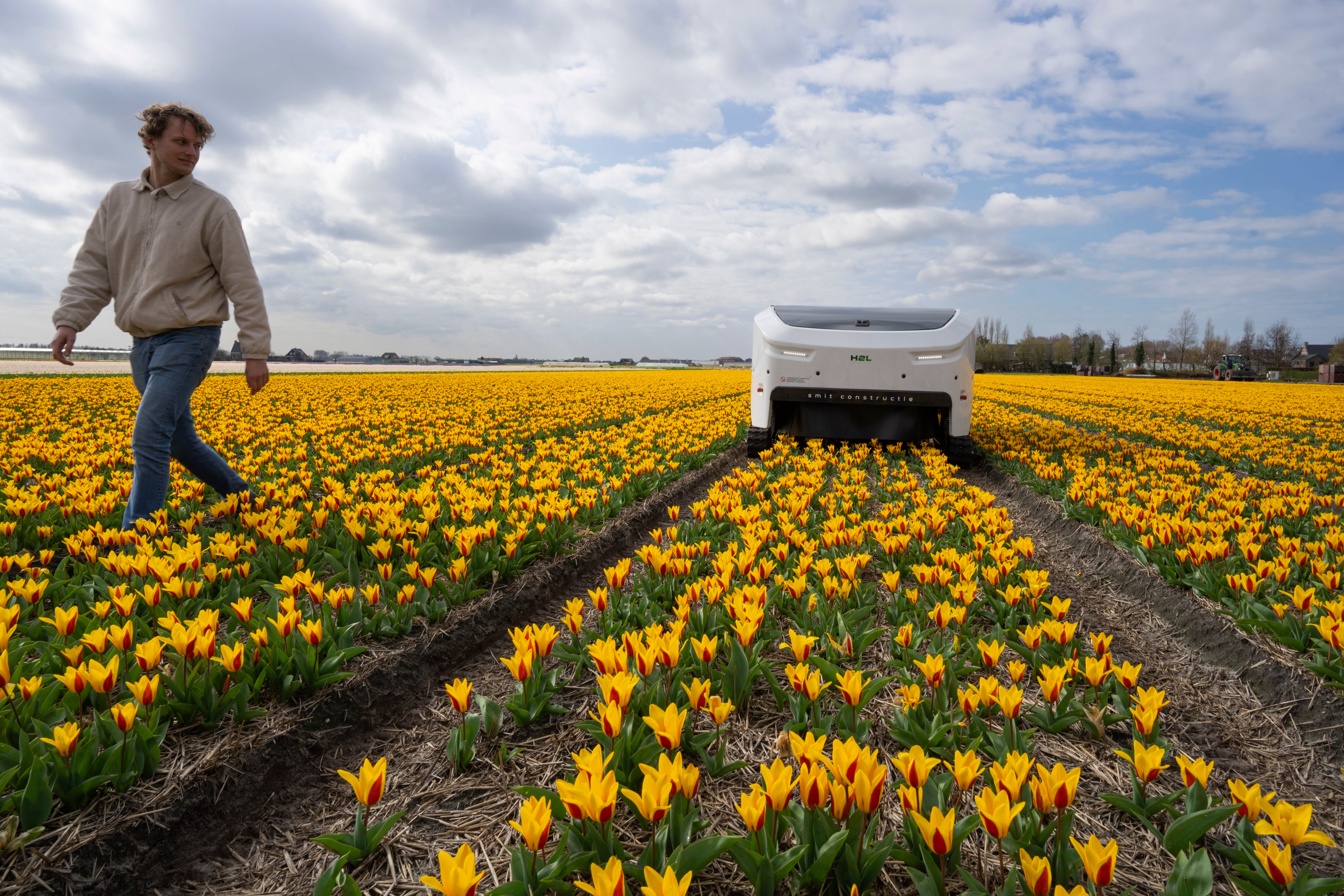 Netherlands Tulip Robot