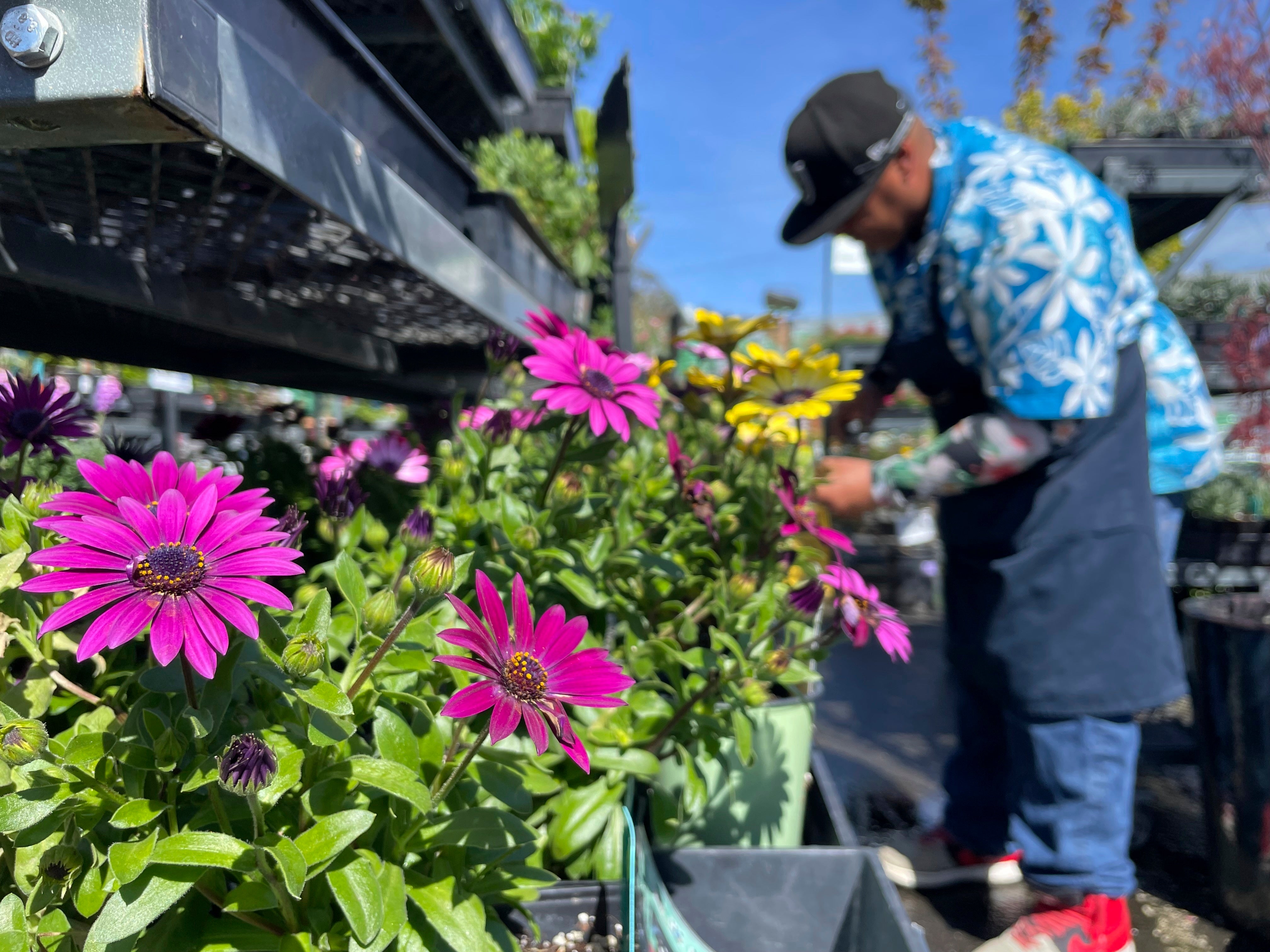 Small Business Garden Centers