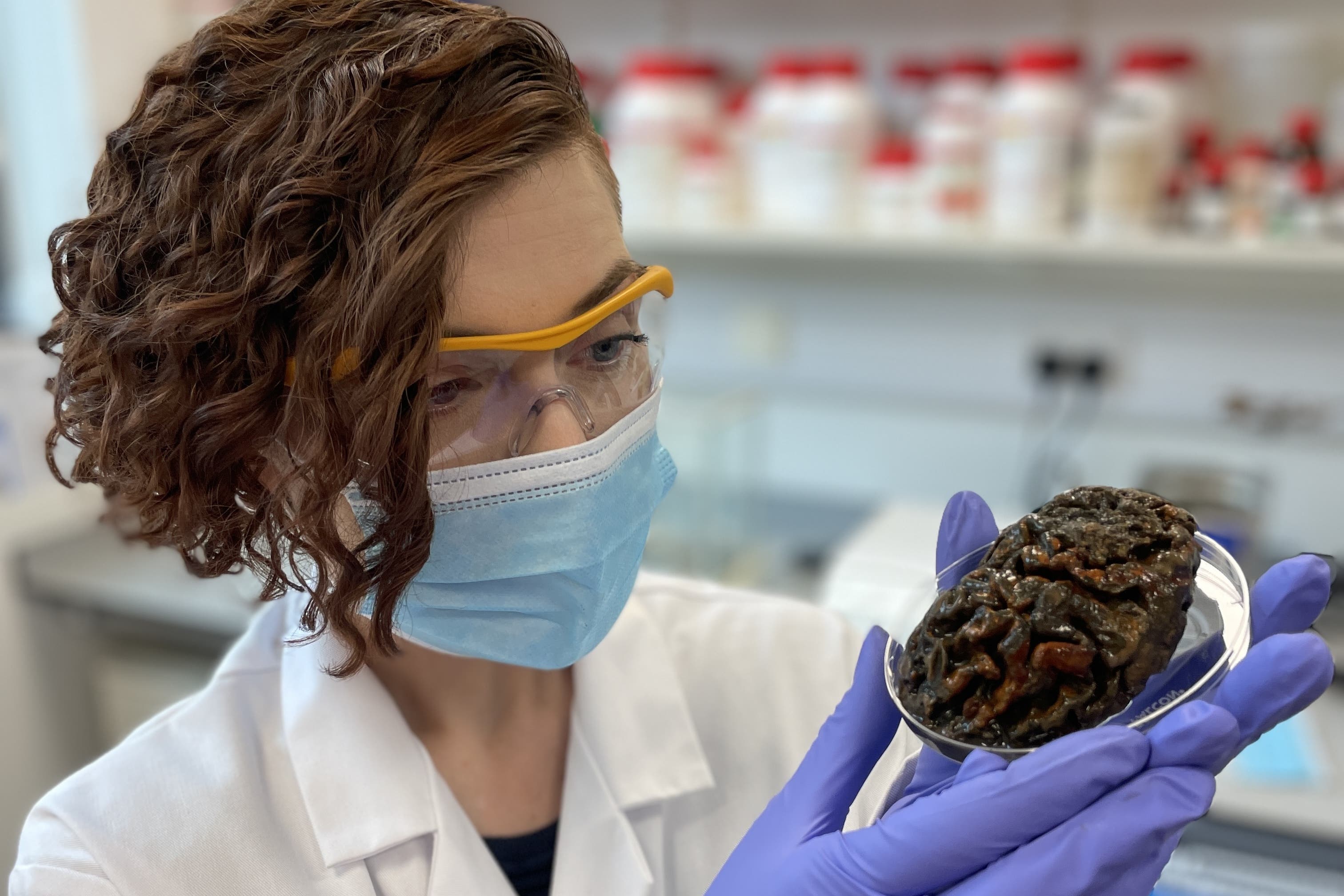 Alexandra Morton-Hayward, a forensic anthropologist and doctoral candidate at the University of Oxford, demonstrates the preserved neural folds of a 1,000-year-old brain (Graham Poulter/PA)