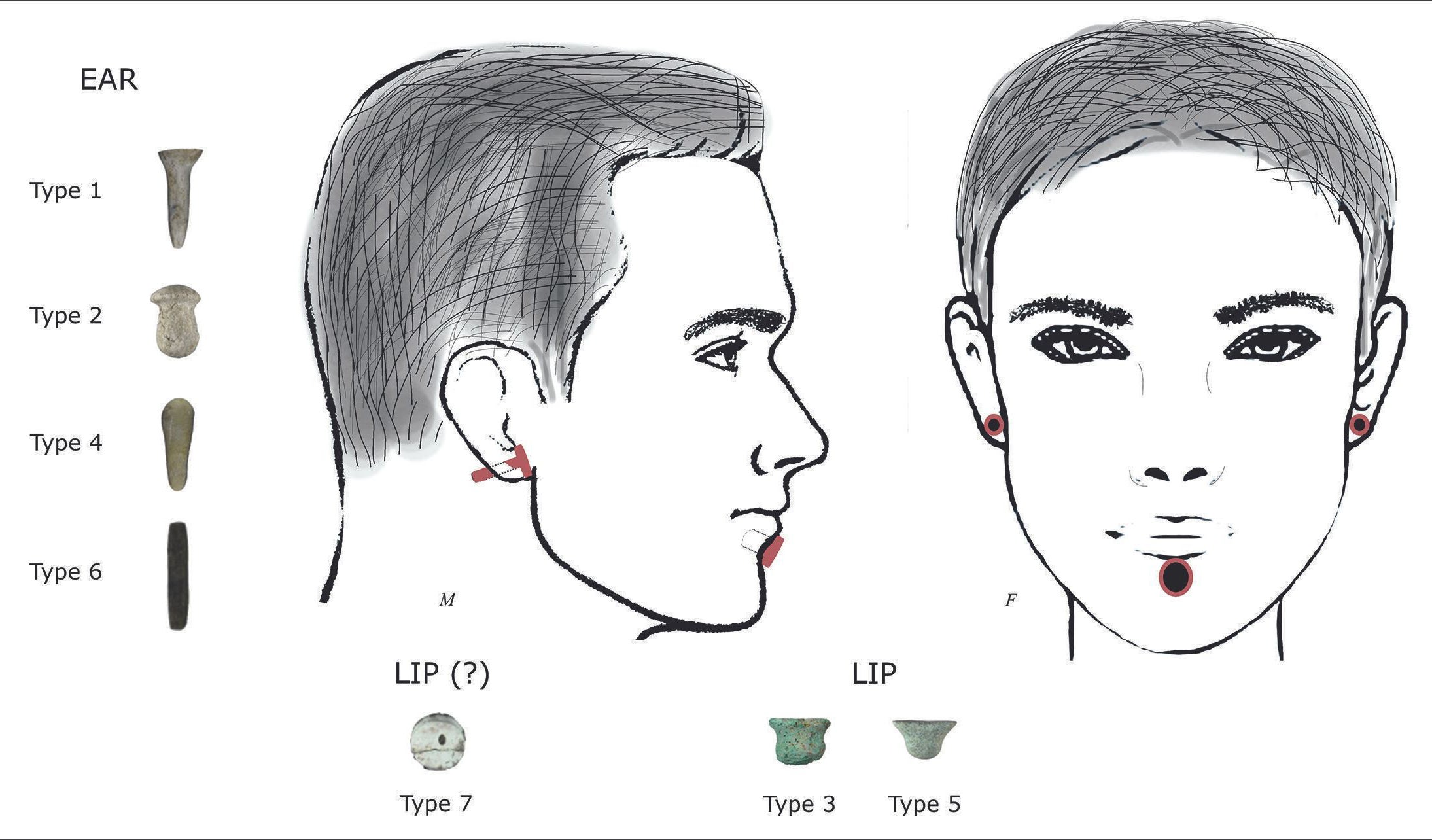 Illustration of hypothetical use of the PPN labrets (lip piercings) and ear piercings at Boncuklu Tarla (figure by authors).