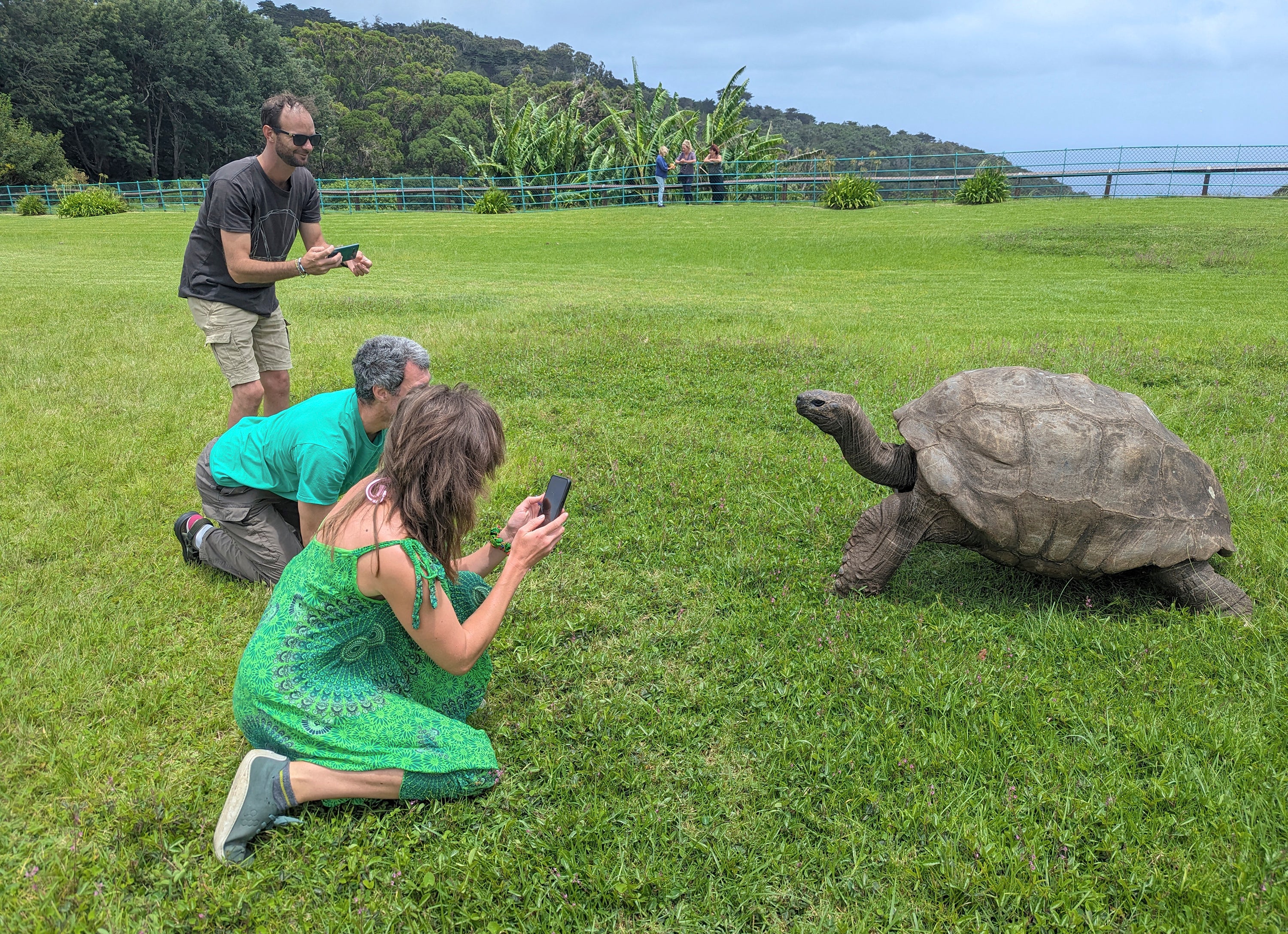 Jonathan holds the record for the oldest living land animal