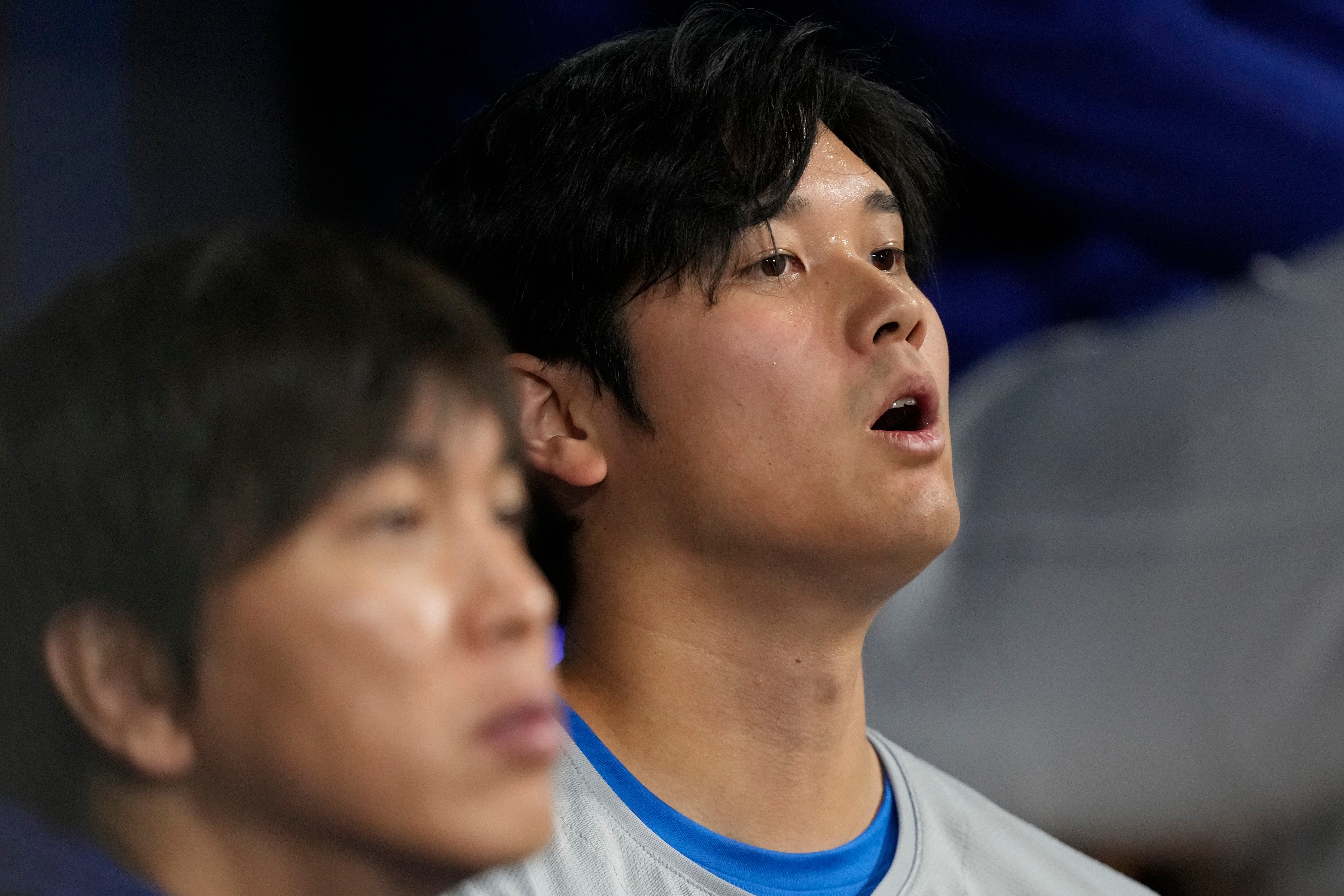 Dodgers Ohtani Interpreter Baseball