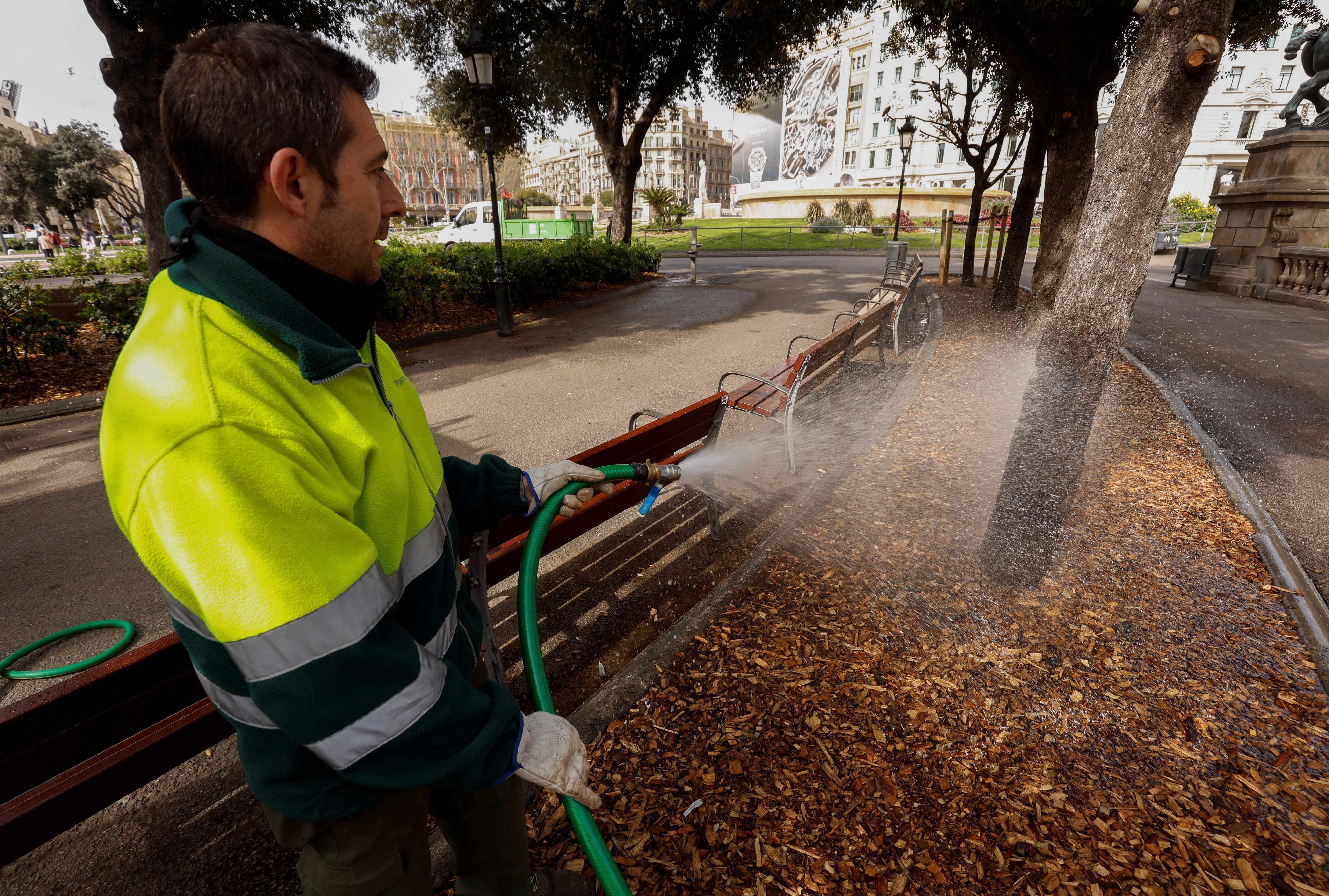 A member of a gardening team waters a tree with groundwater to keep it alive at Plaza Catalunya square in Barcelona