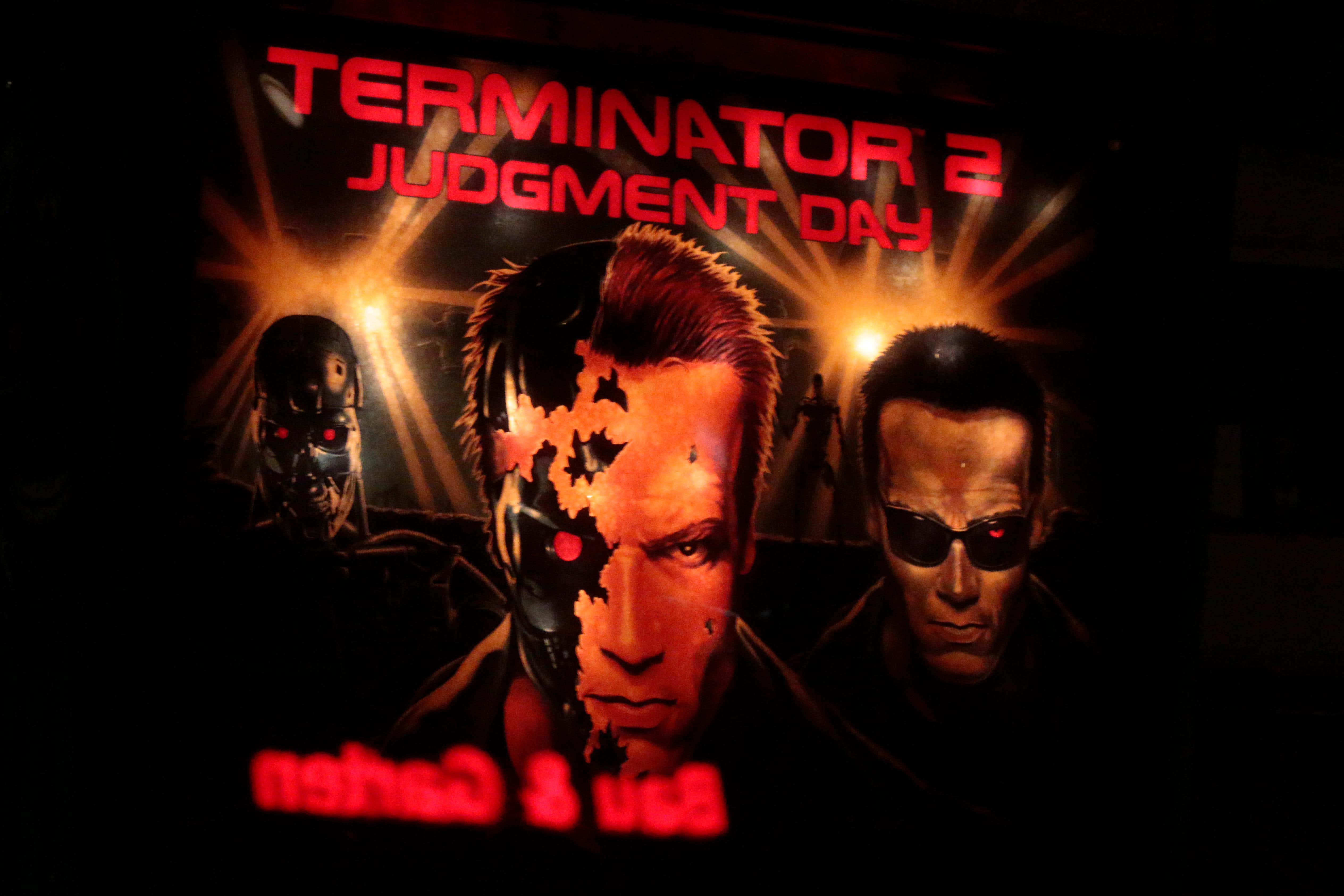 The House of Lords heard films such as The Terminator have helped to inform people’s opinions about AI (Alamy/PA)