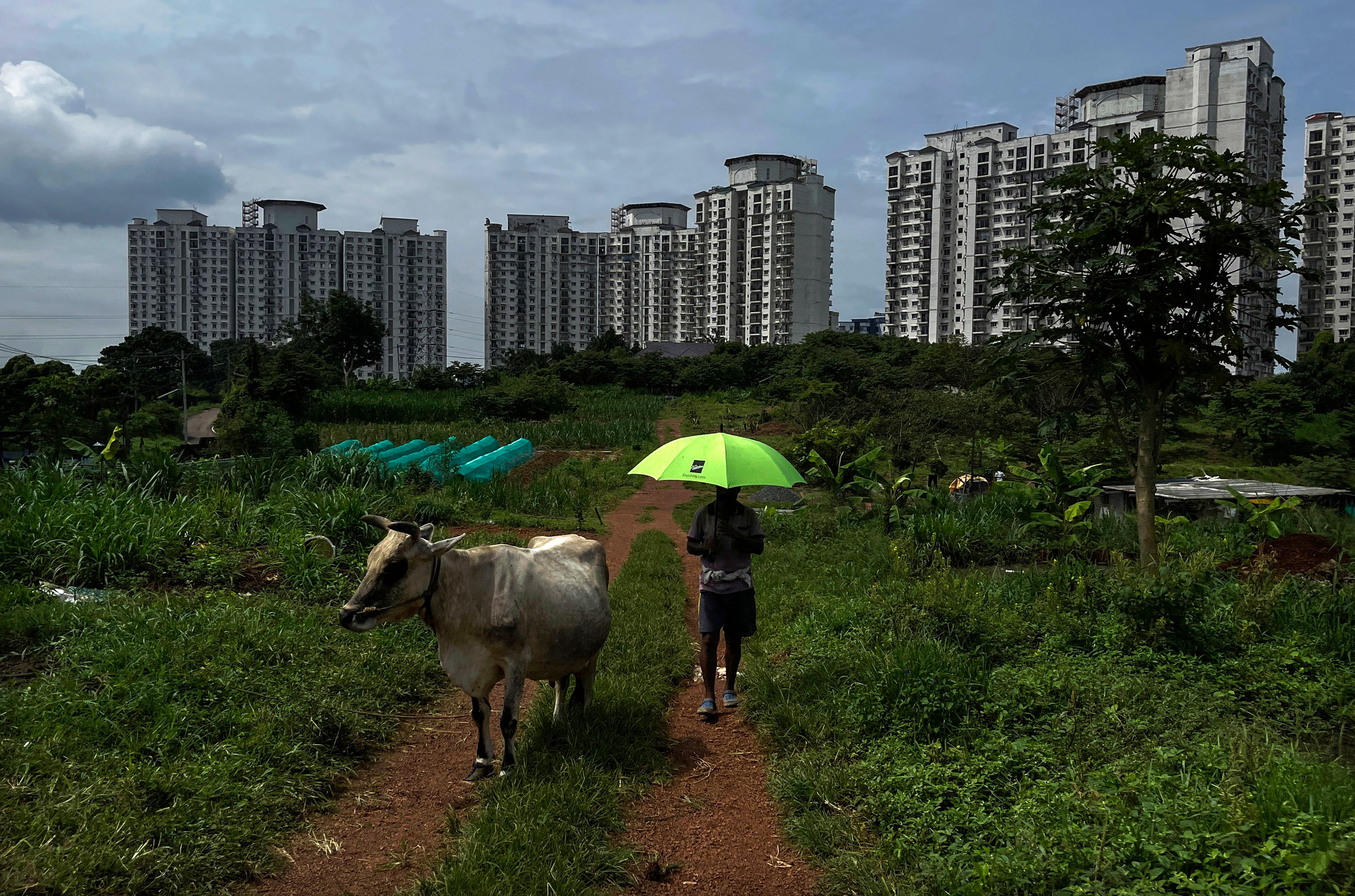 India Methane Emissions