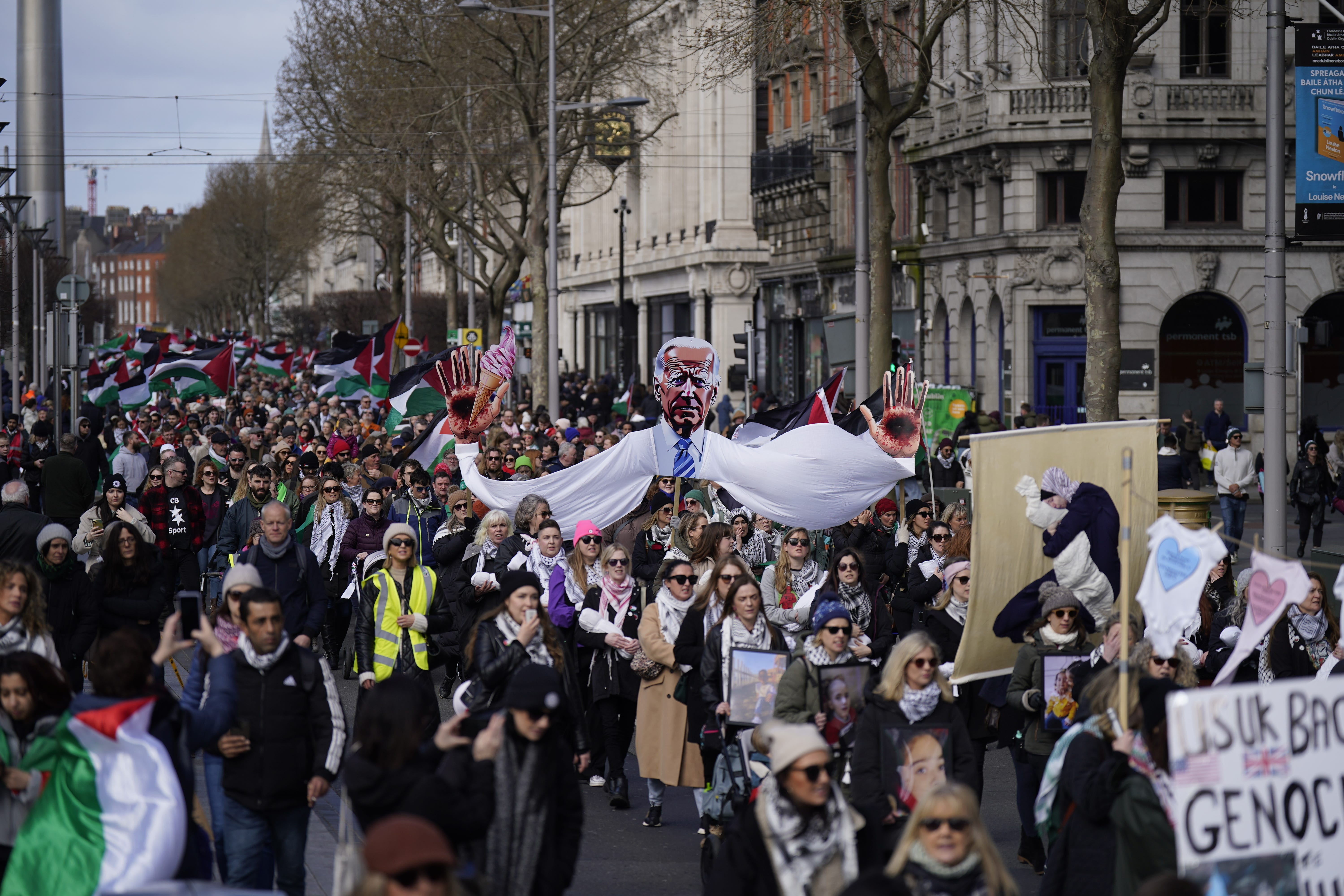 People taking part in an Ireland-Palestine Solidarity Campaign rally in Dublin (Niall Carson/PA)