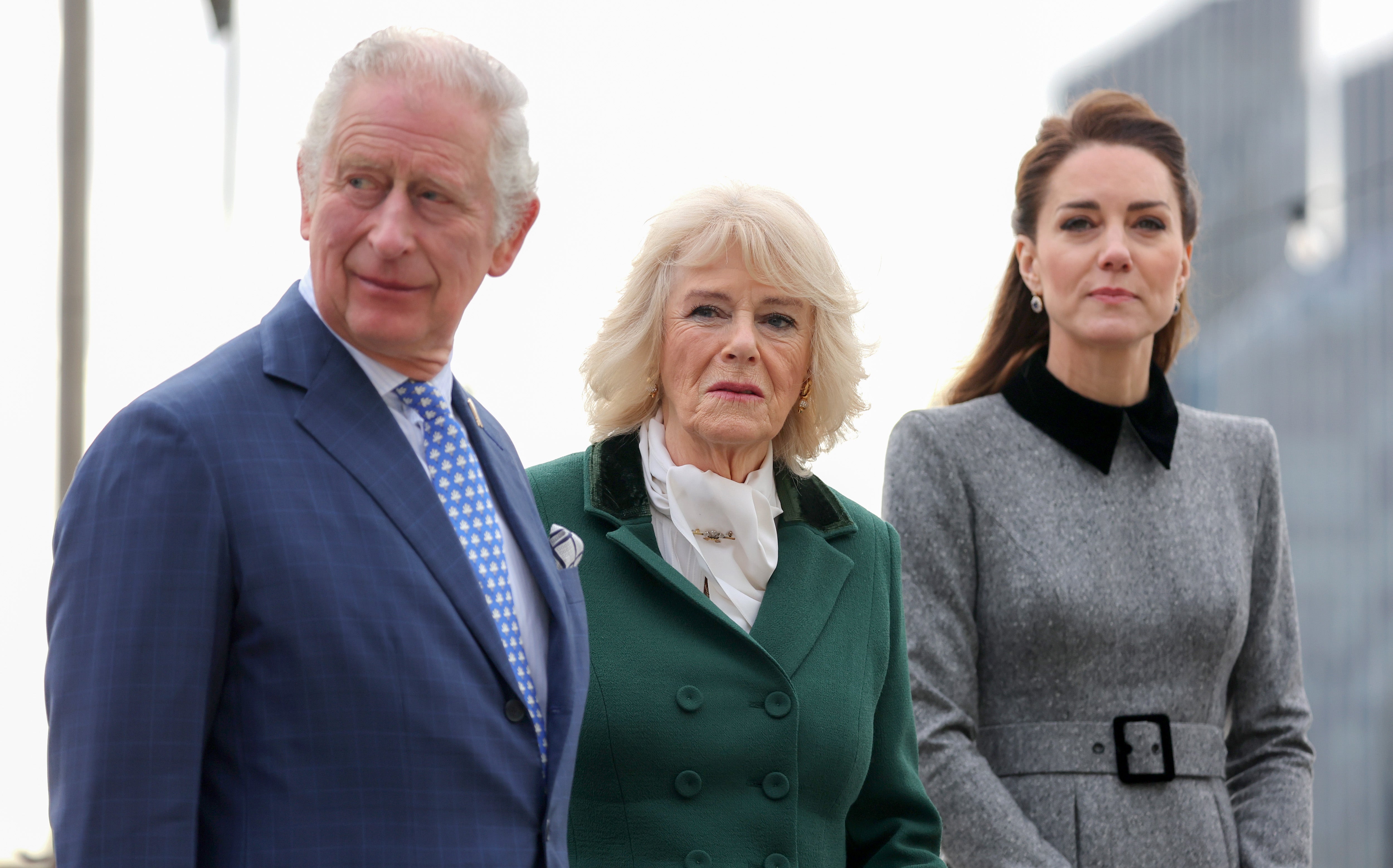 Both royals are now stepping back from public engagements to undergo treatment