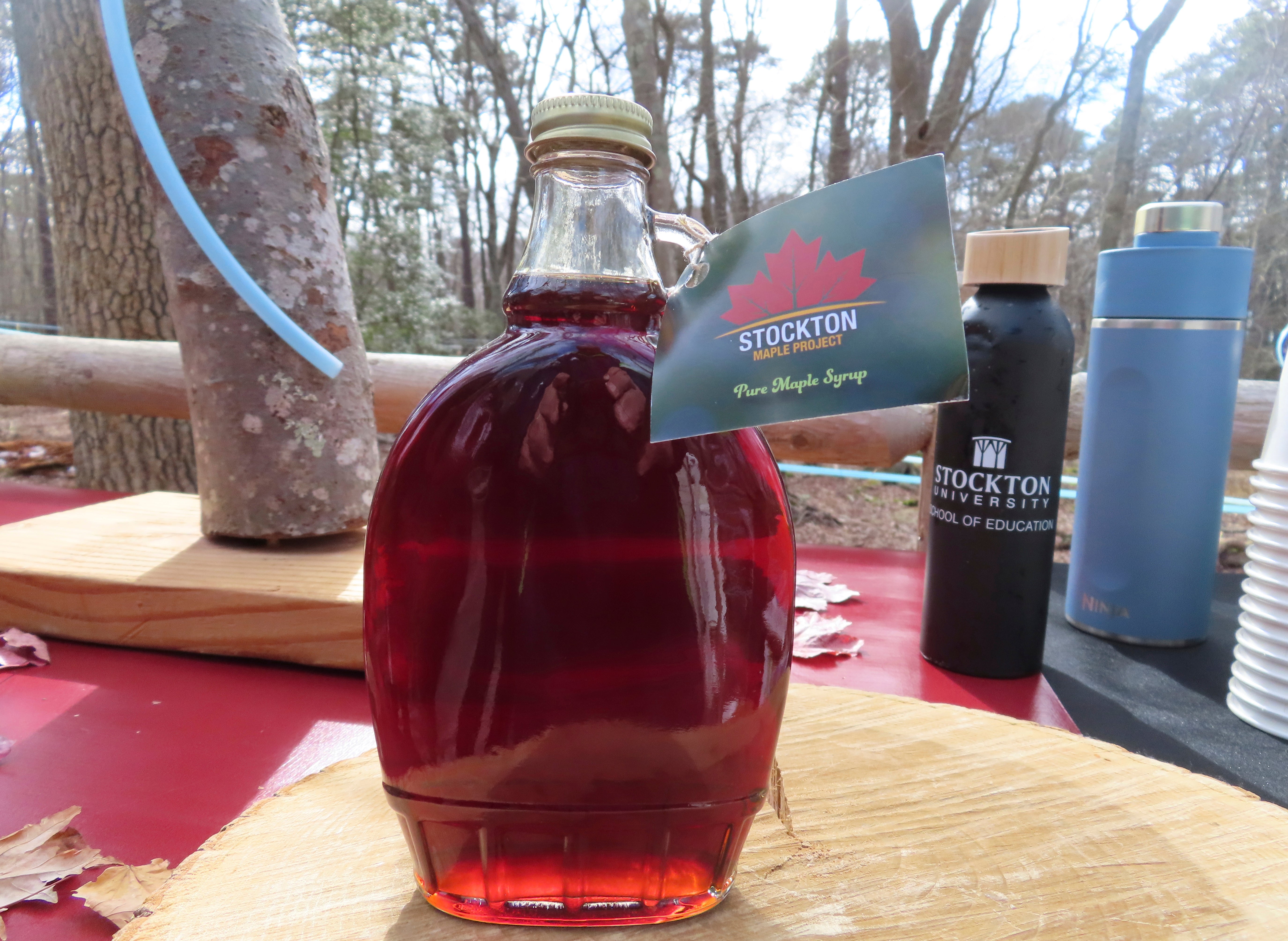 New Jersey Maple Syrup