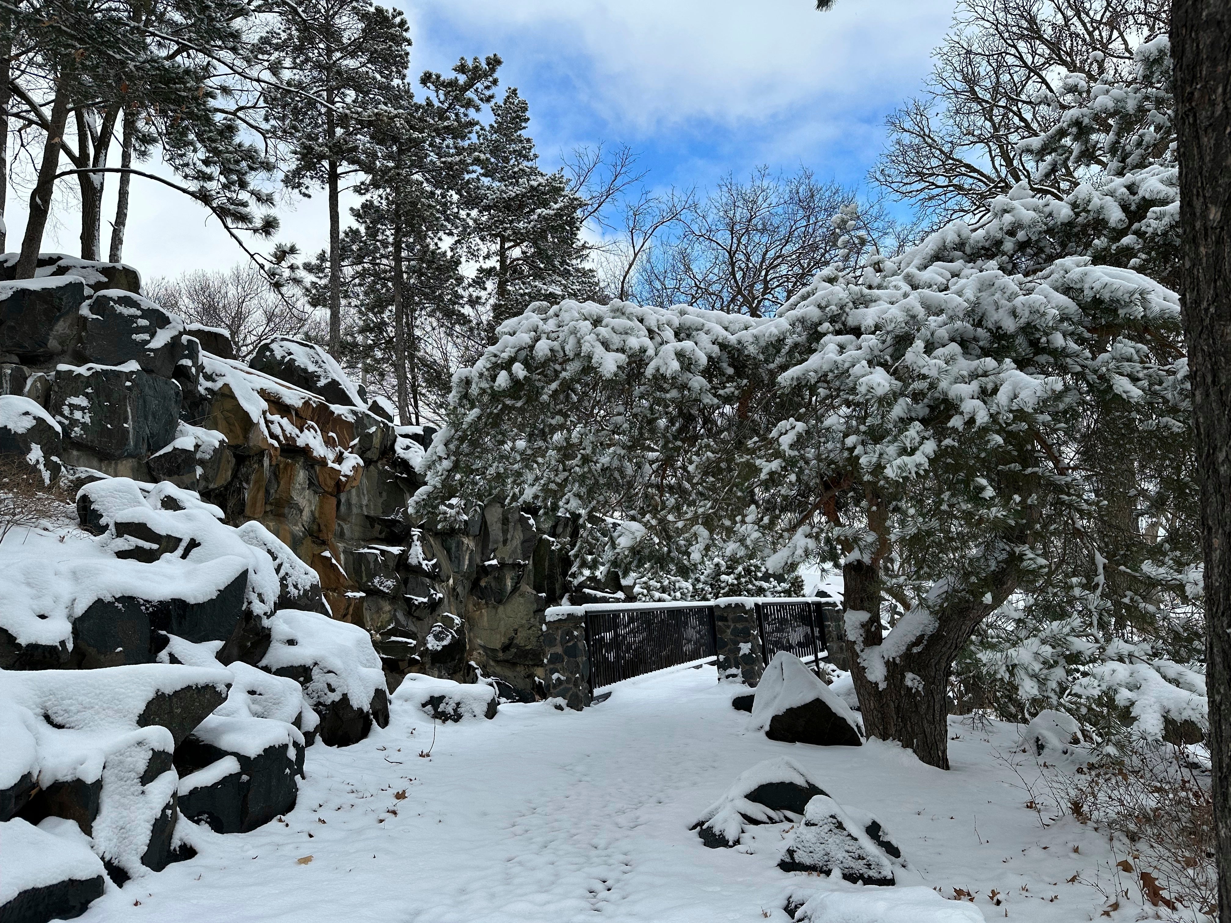 Snow clings to the trees along a walking path at Como Lake in St. Paul, Minn