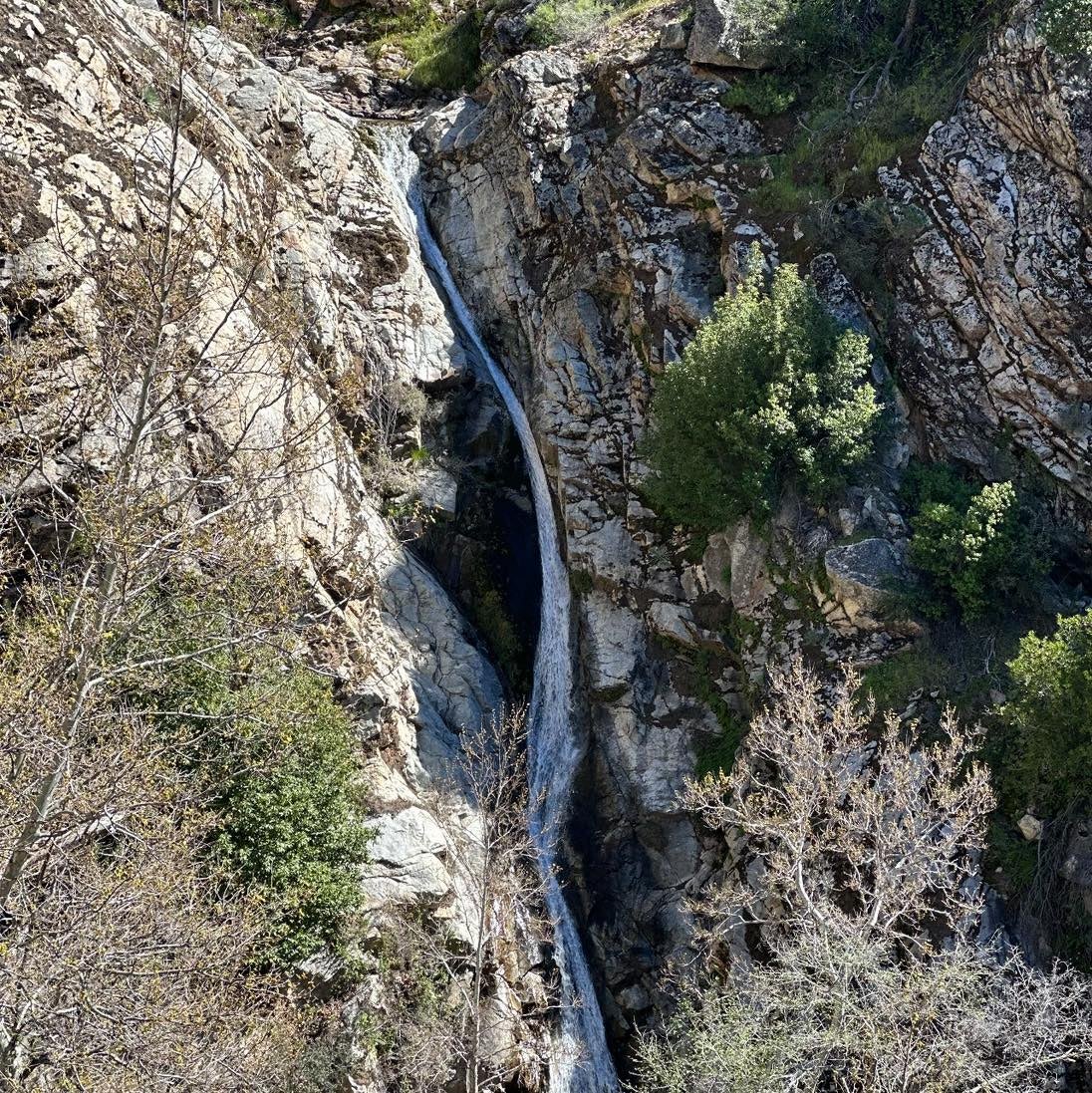 Meister’s body was found at the bottom of a Waterfall near the ‘Cut Off’ trail by search and rescue