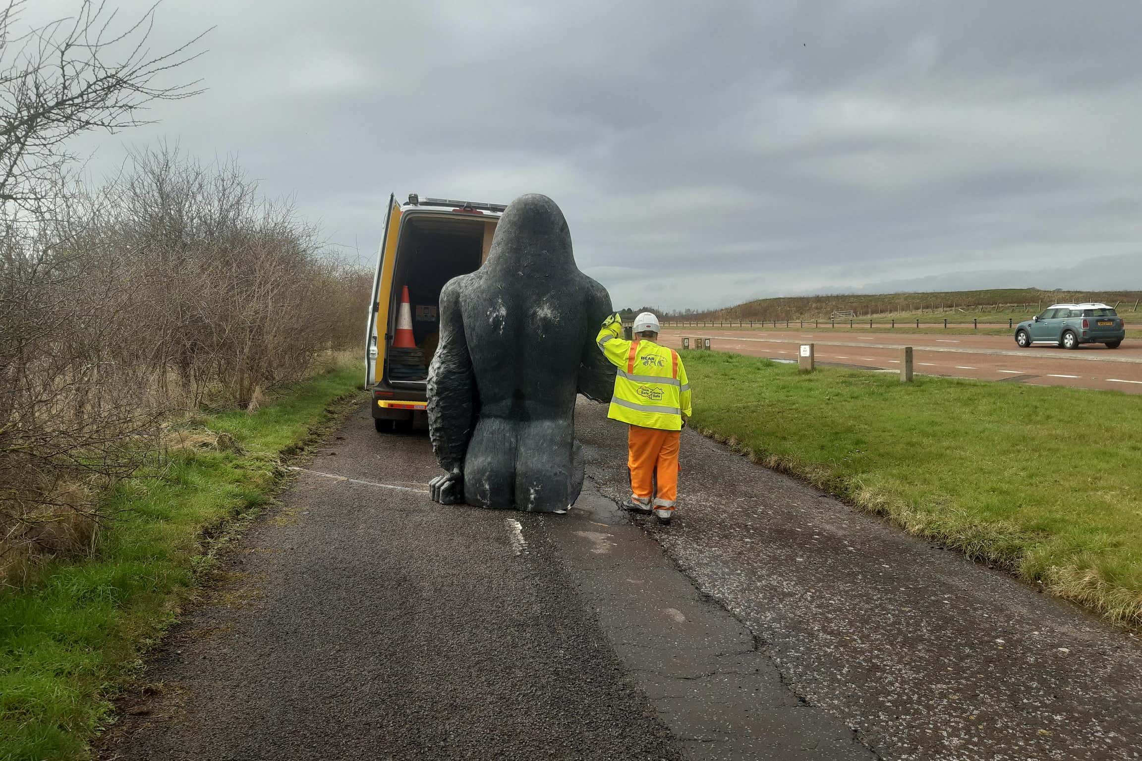 Gary the Gorilla was found hidden in bushes in a layby