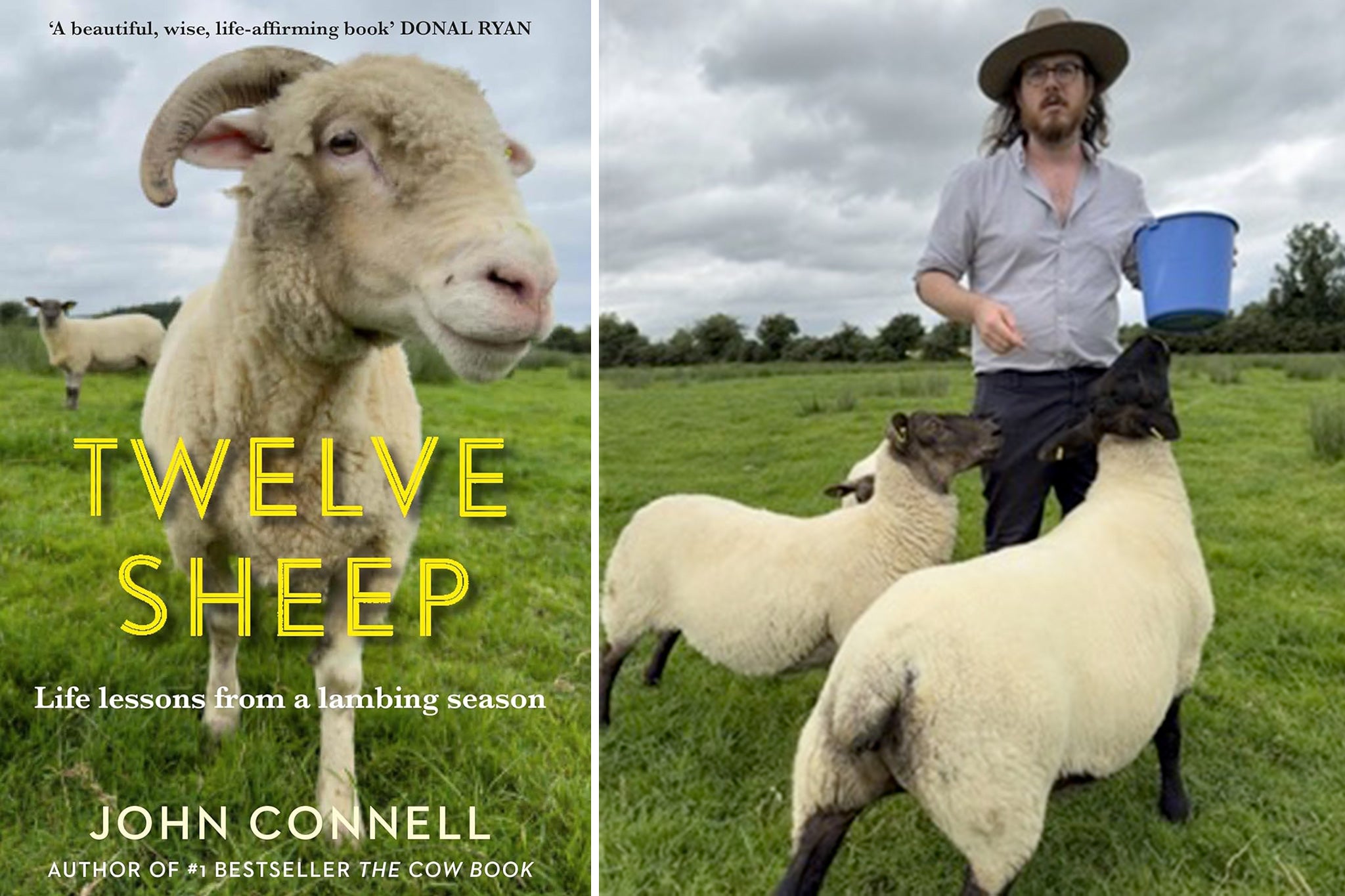 Connell’s ‘Twelve Sheep’ is, in some ways, a memoir about the author’s own struggles with depression and how he used those difficulties to change his life