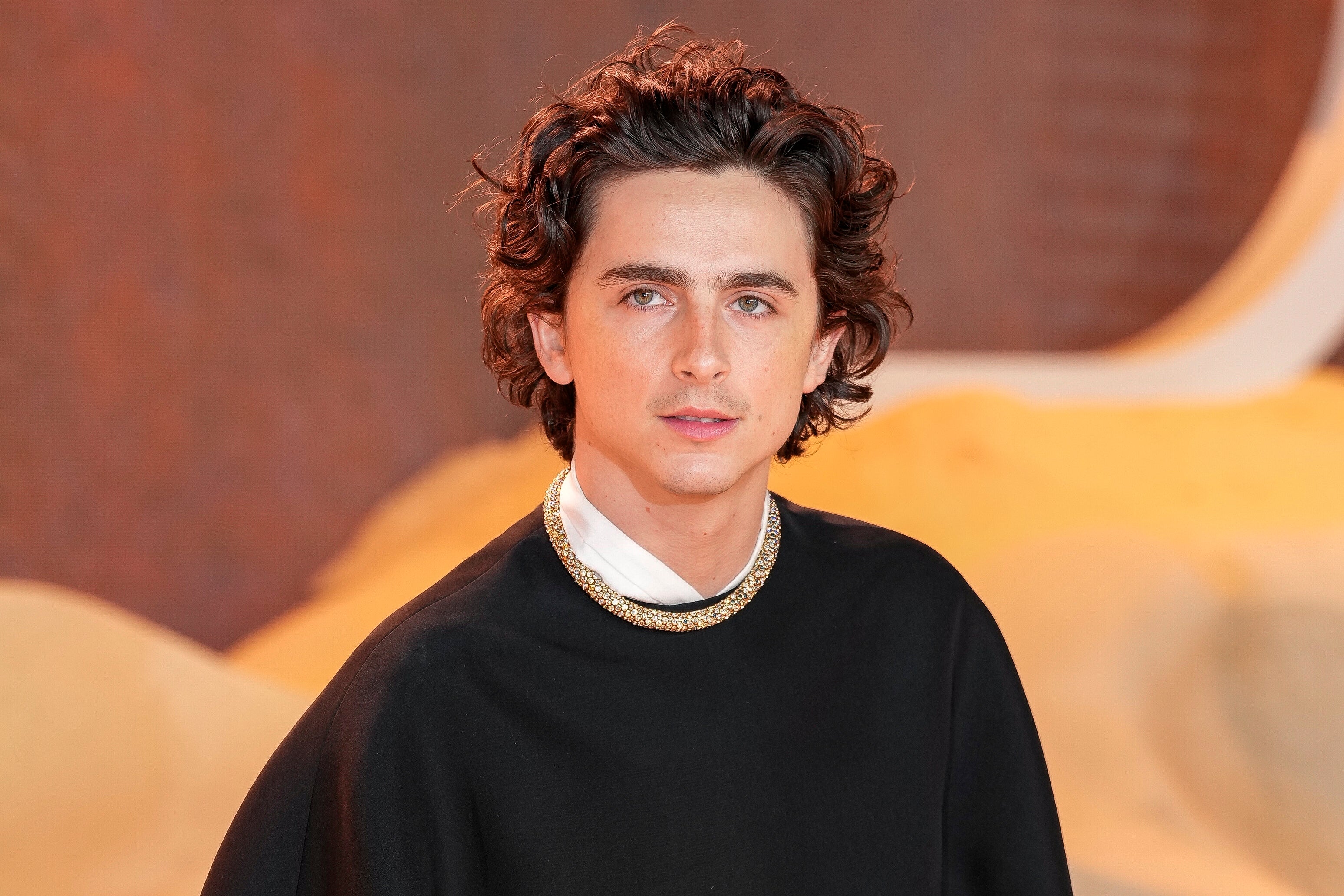 Timothee Chalamet at the world premiere of Dune: Part Two in London on 15 February 2024